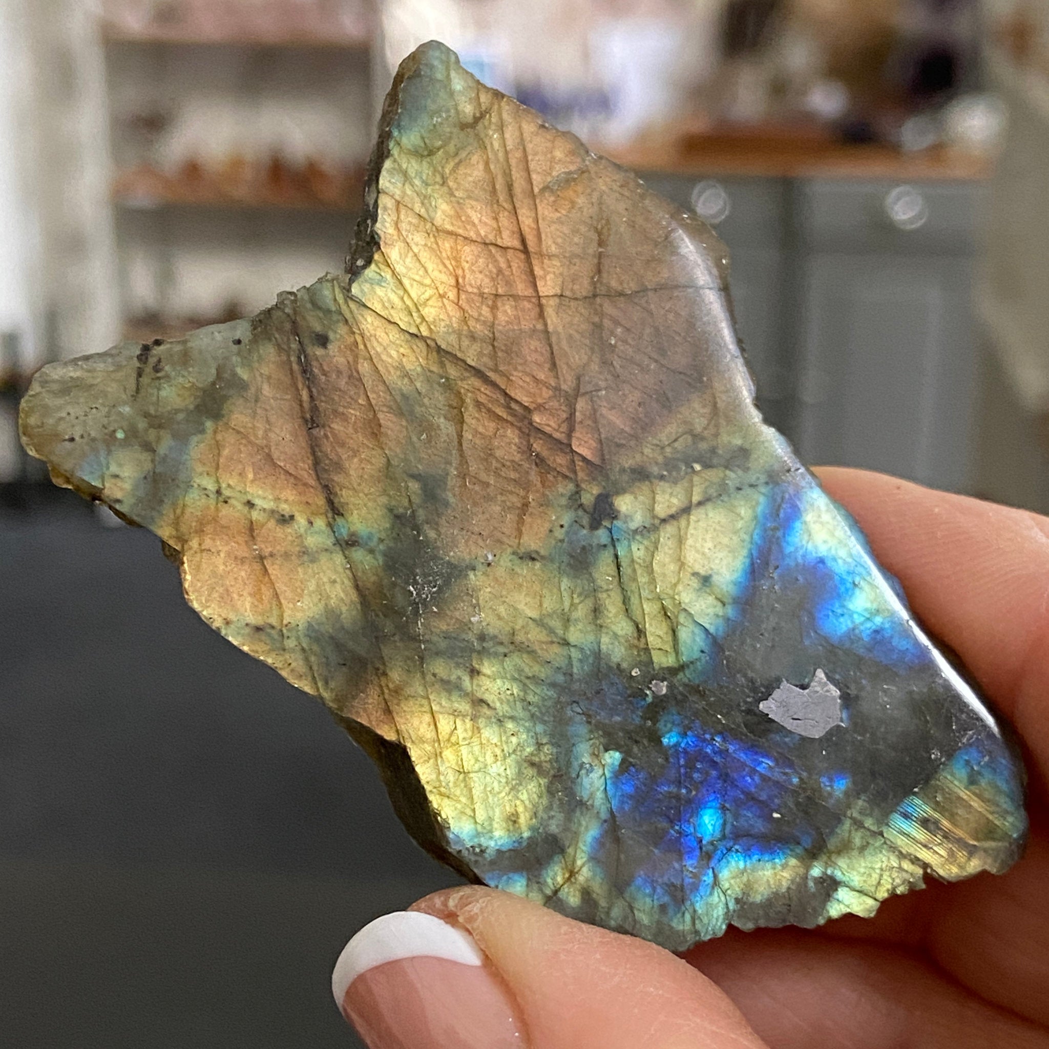 Madagascan Labradorite Slice – New Beginnings & Intuition - Castle Rocks Cornwall