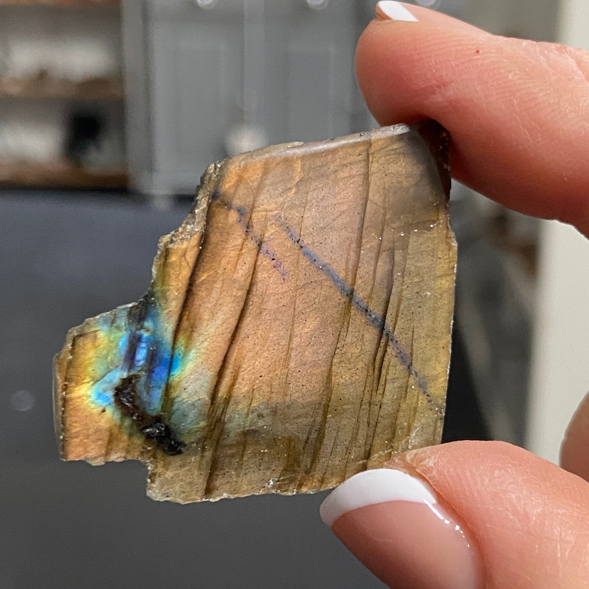 Madagascan Labradorite Slice – New Beginnings & Intuition - Castle Rocks Cornwall