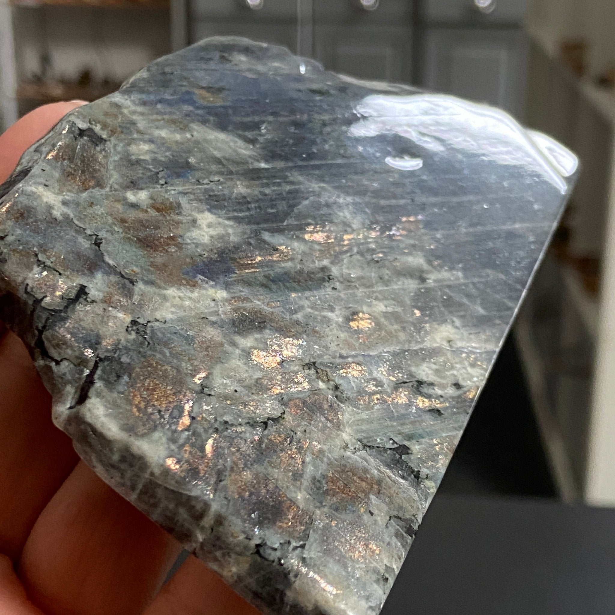 Rare Labradorite Slice from Labrador, Canada – New Beginnings - Castle Rocks Cornwall