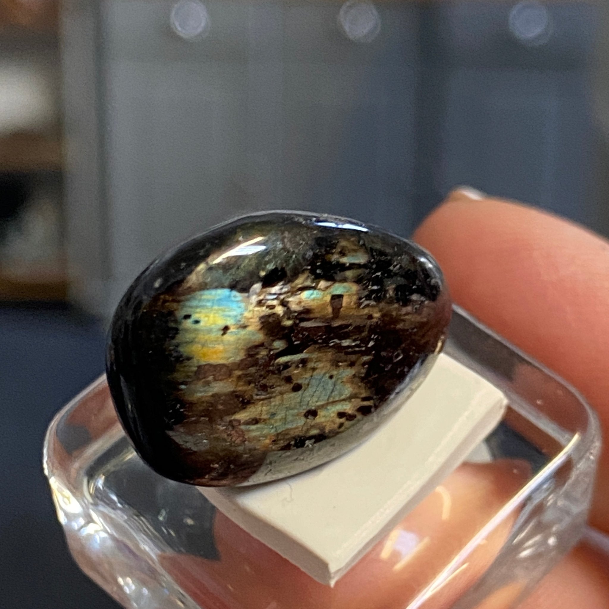 The Best Nuummite from Greenland - Tumbled Stone - AAA - Castle Rocks Cornwall