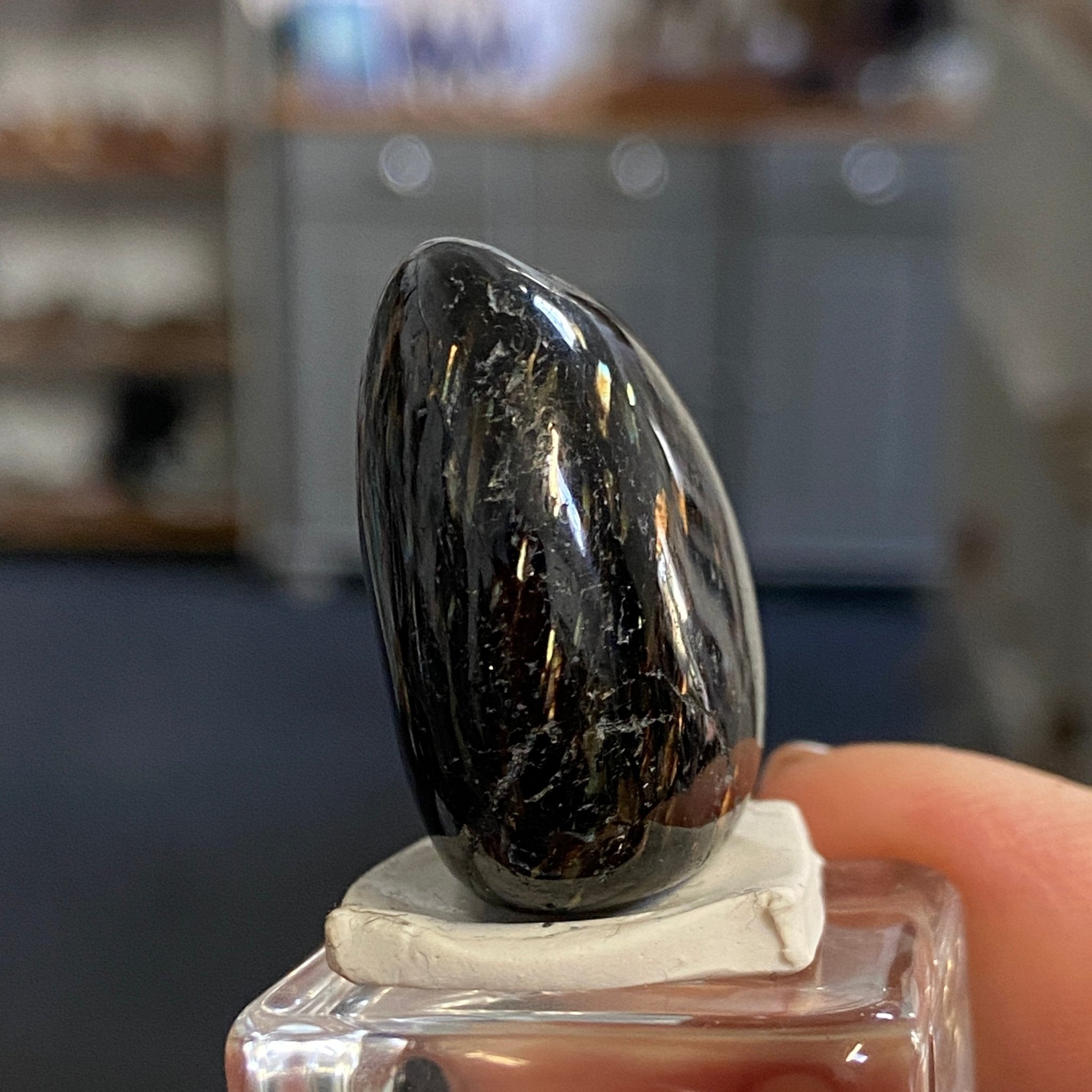 The Best Nuummite from Greenland - Tumbled Stone - AAA - Castle Rocks Cornwall