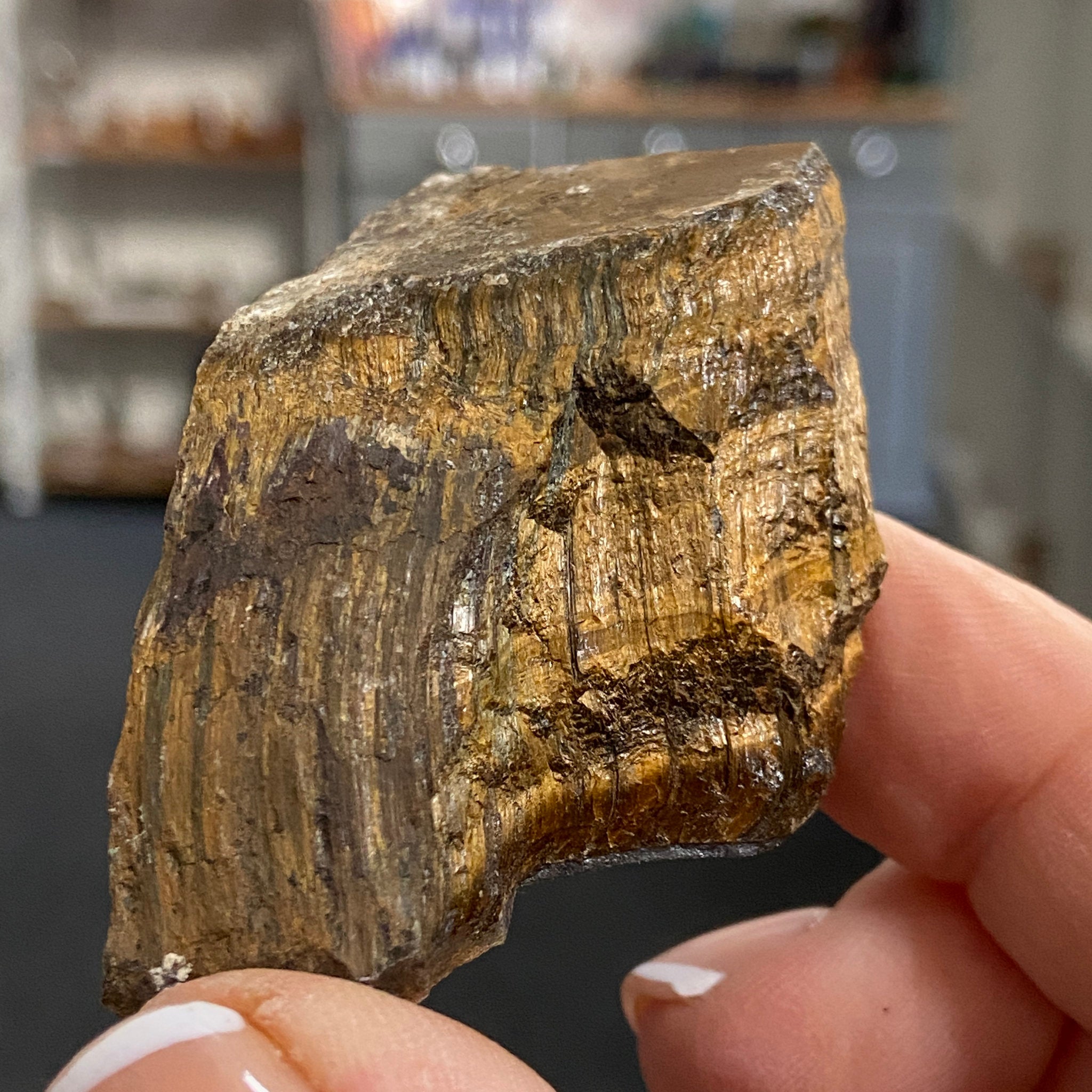 Tiger’s Eye – South Africa - Castle Rocks Cornwall