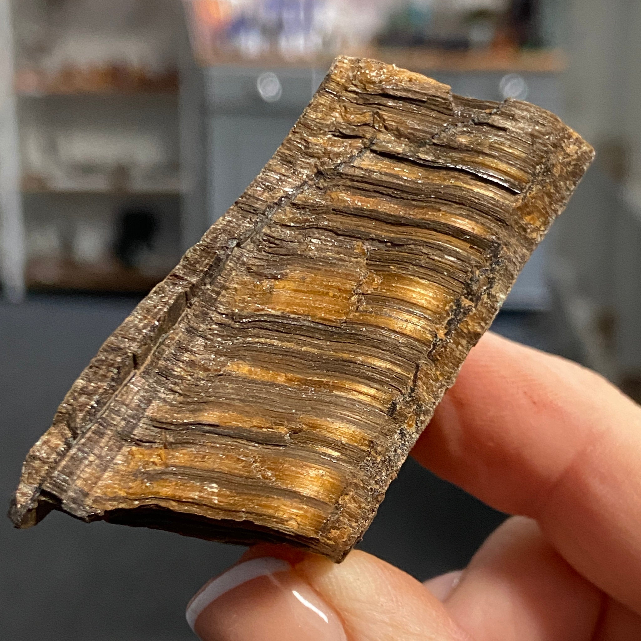 Tiger’s Eye – South Africa - Castle Rocks Cornwall