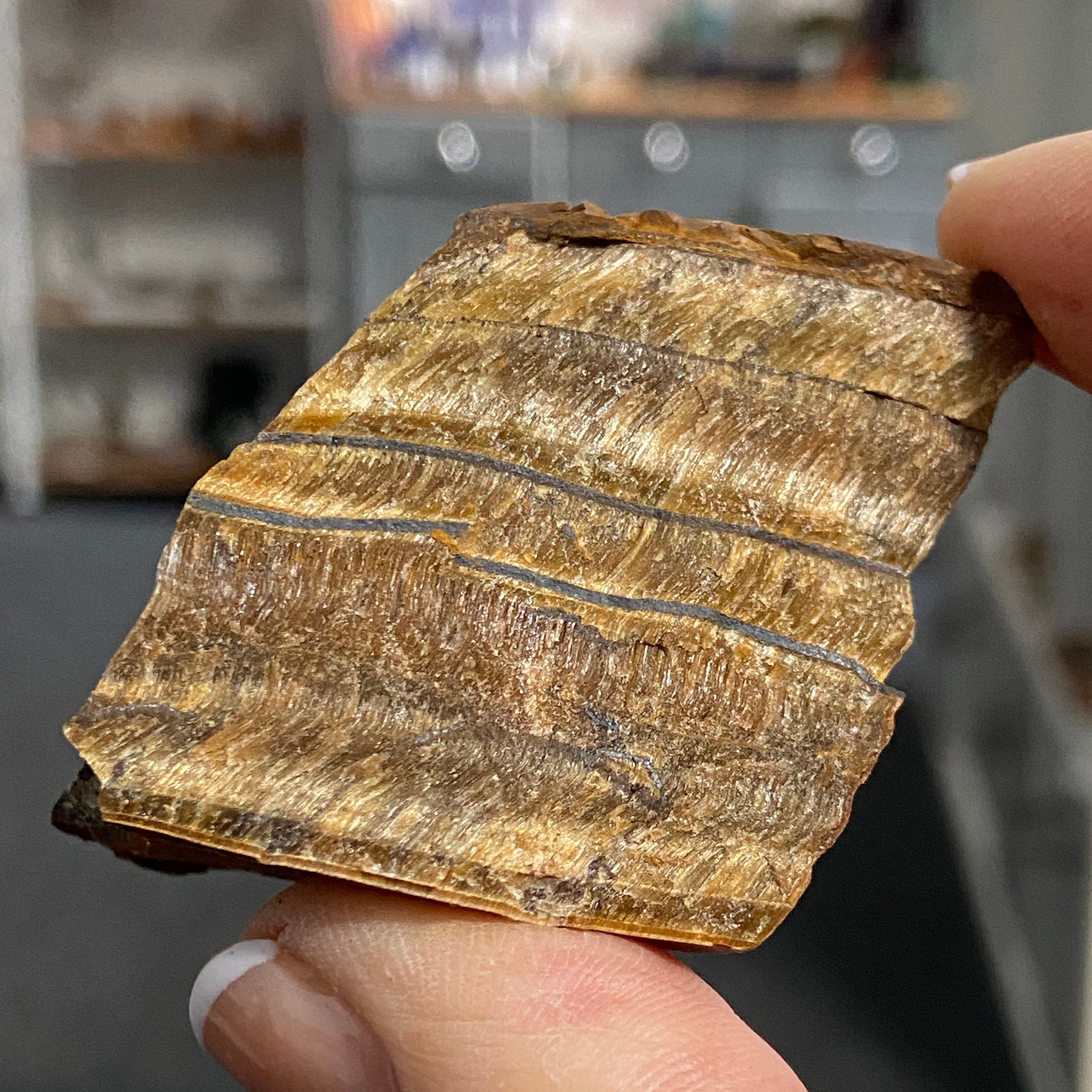 Tiger’s Eye – South Africa - Castle Rocks Cornwall