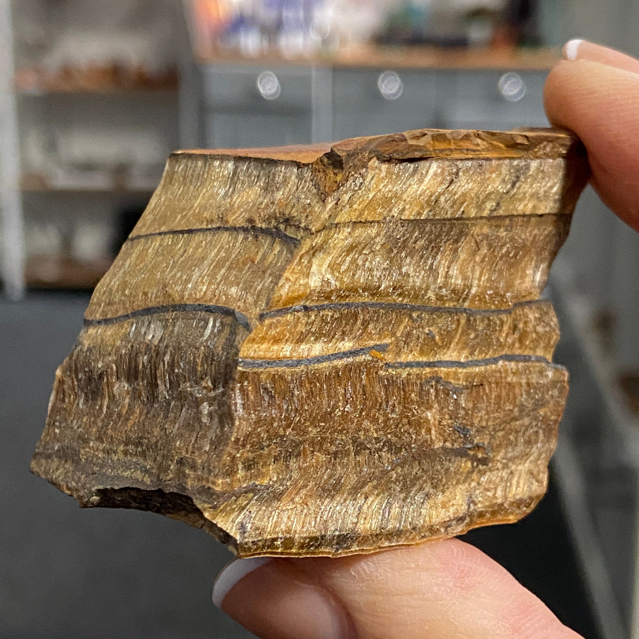 Tiger’s Eye – South Africa - Castle Rocks Cornwall