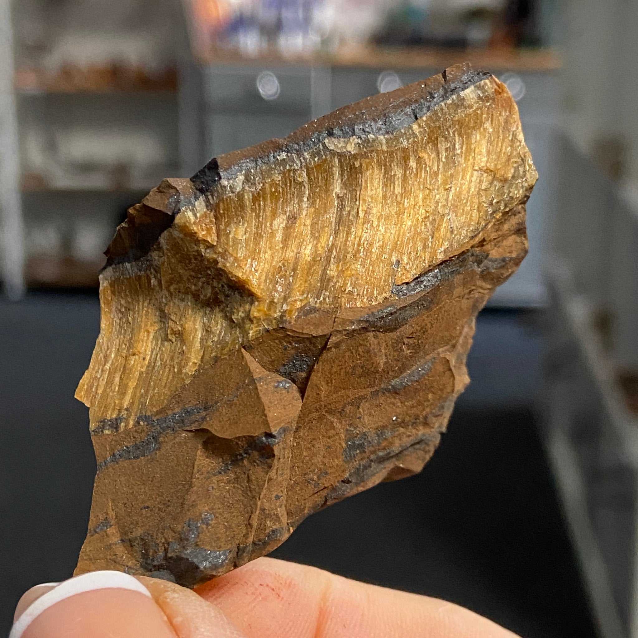 Tiger’s Eye – South Africa - Castle Rocks Cornwall