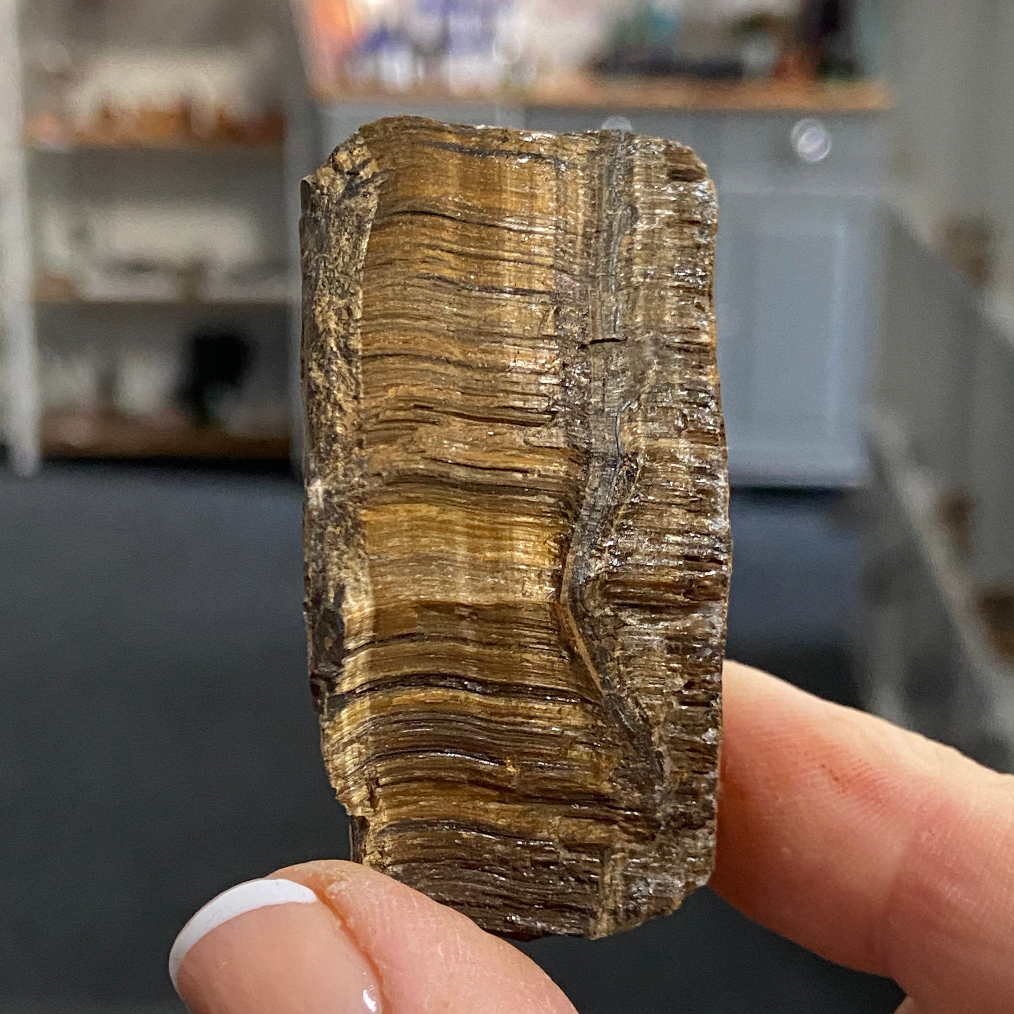 Tiger’s Eye – South Africa - Castle Rocks Cornwall