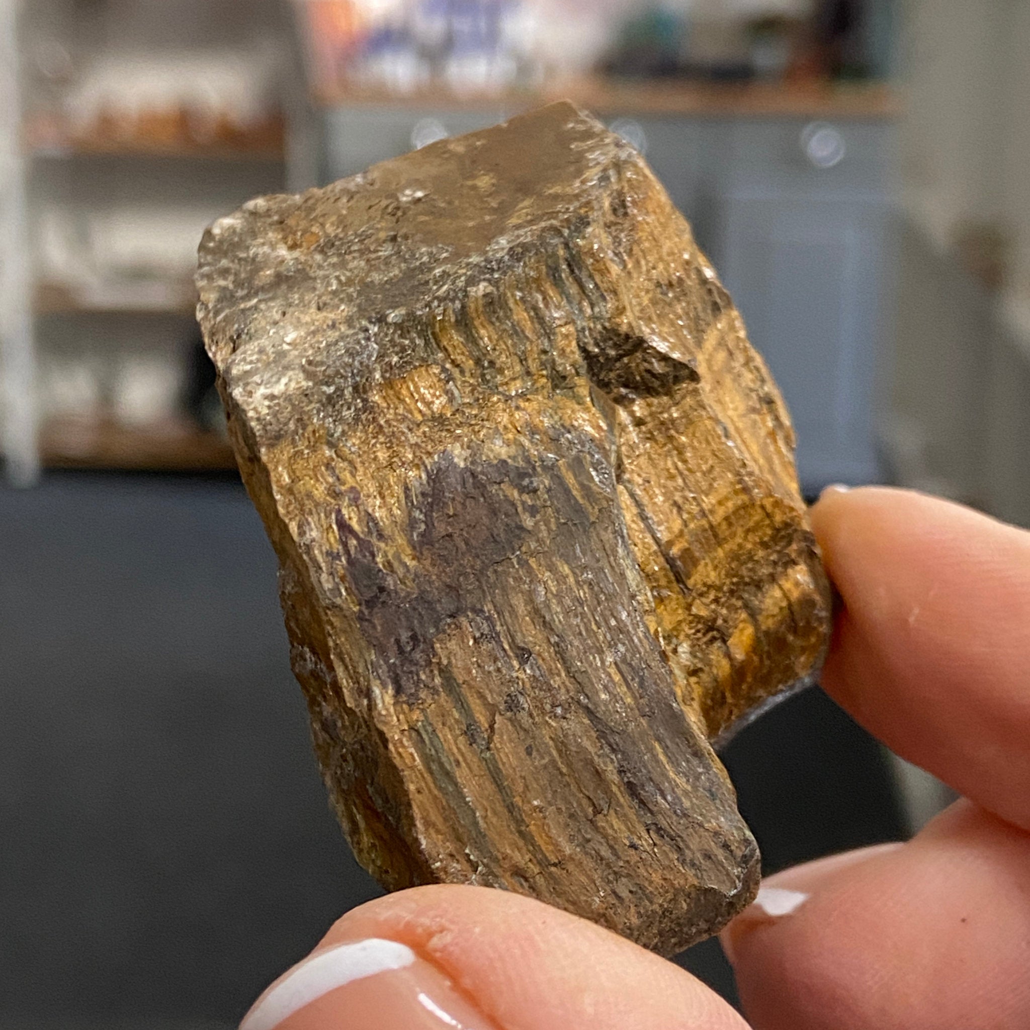 Tiger’s Eye – South Africa - Castle Rocks Cornwall