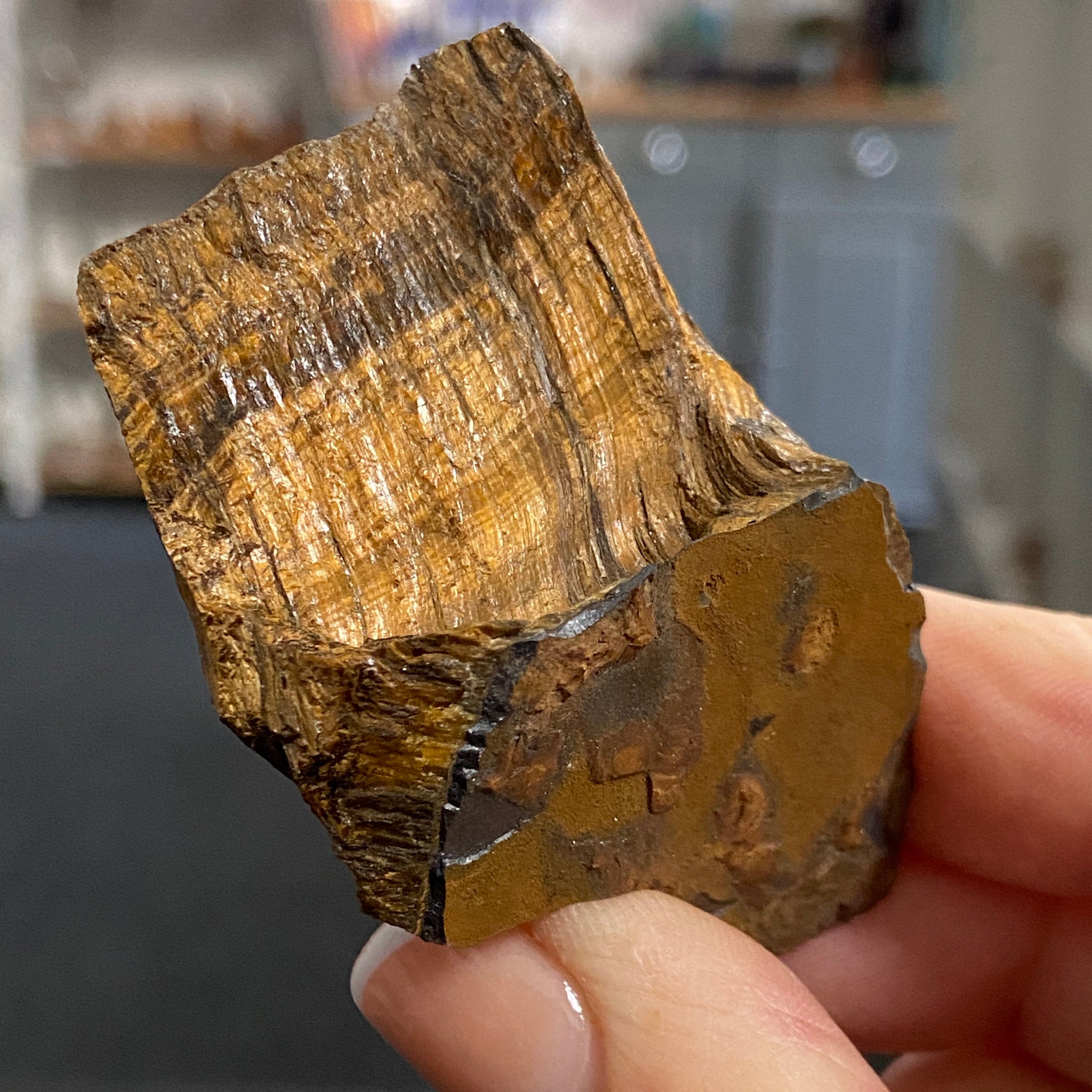 Tiger’s Eye – South Africa - Castle Rocks Cornwall