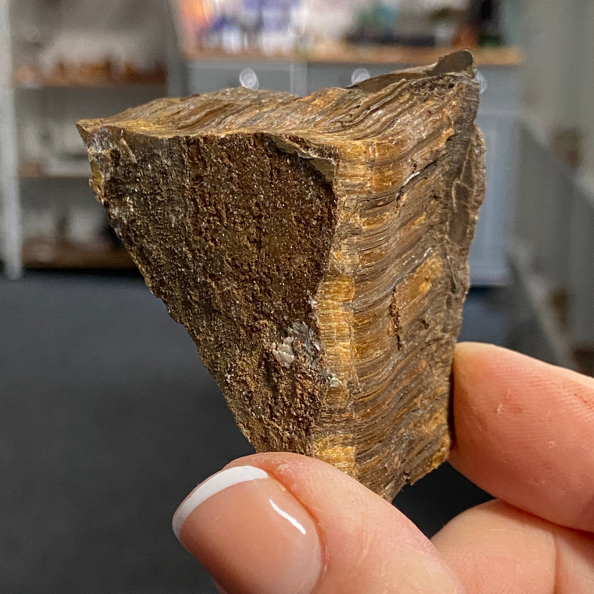 Tiger’s Eye – South Africa - Castle Rocks Cornwall