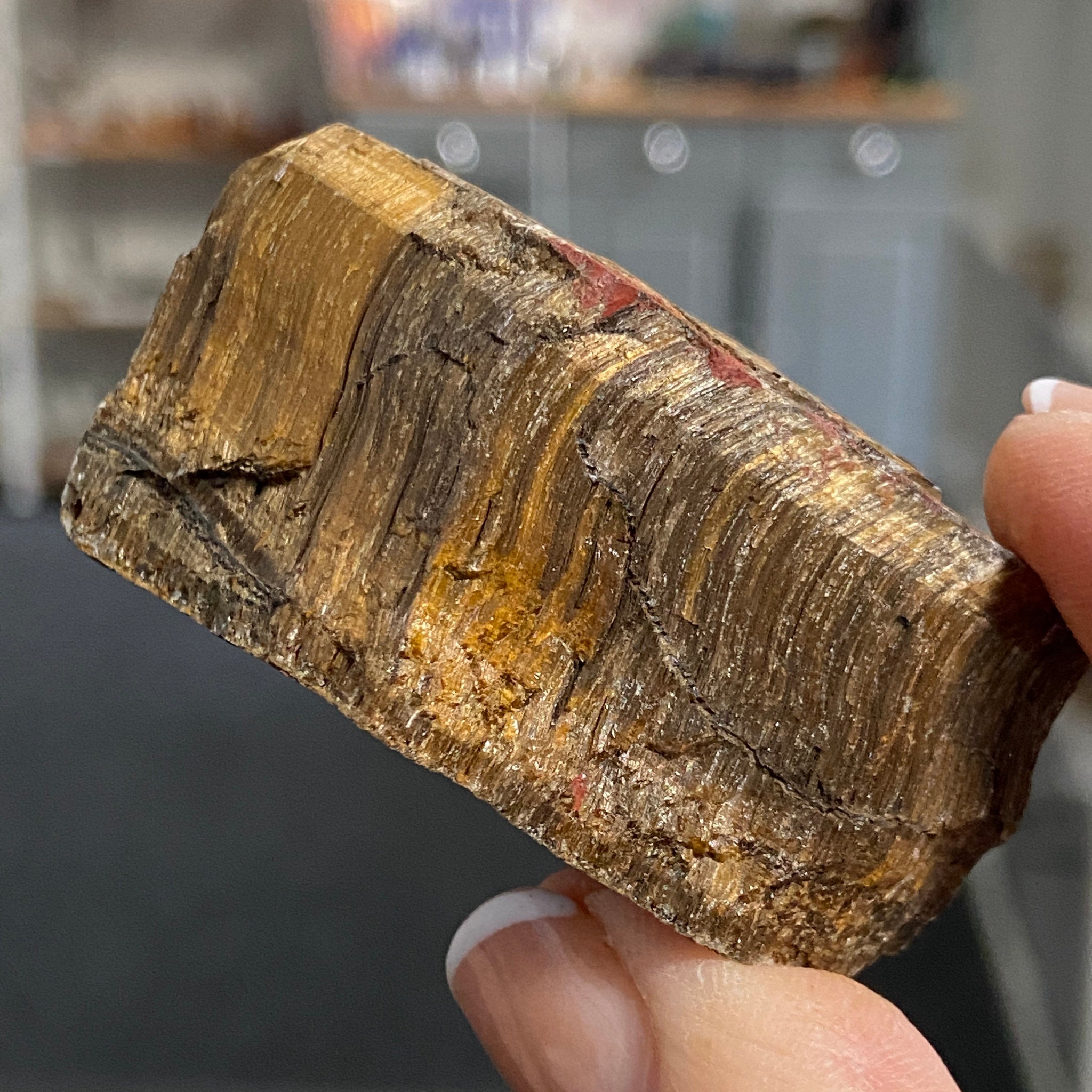 Tiger’s Eye – South Africa - Castle Rocks Cornwall