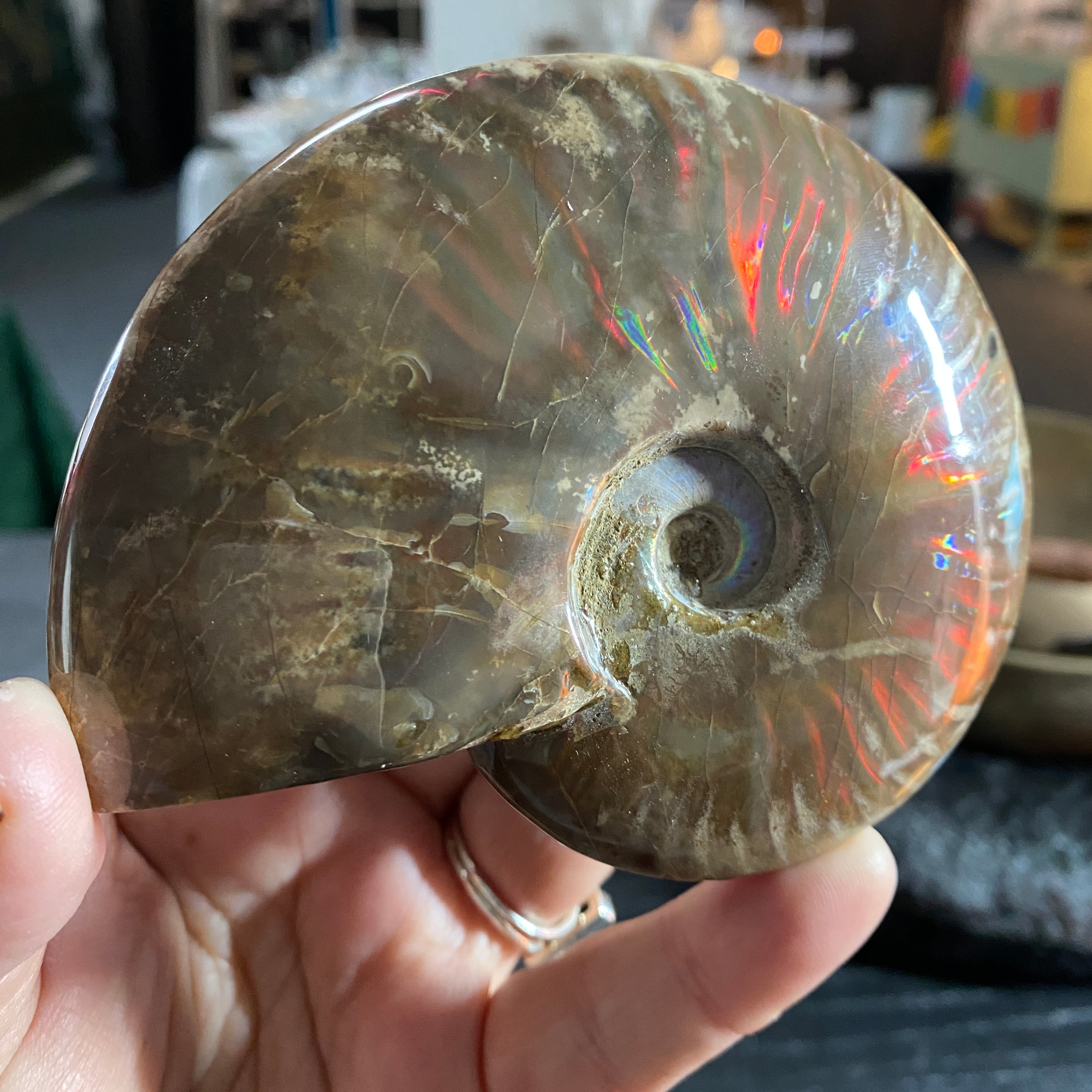 Fire Red Opalised Full Ammonite