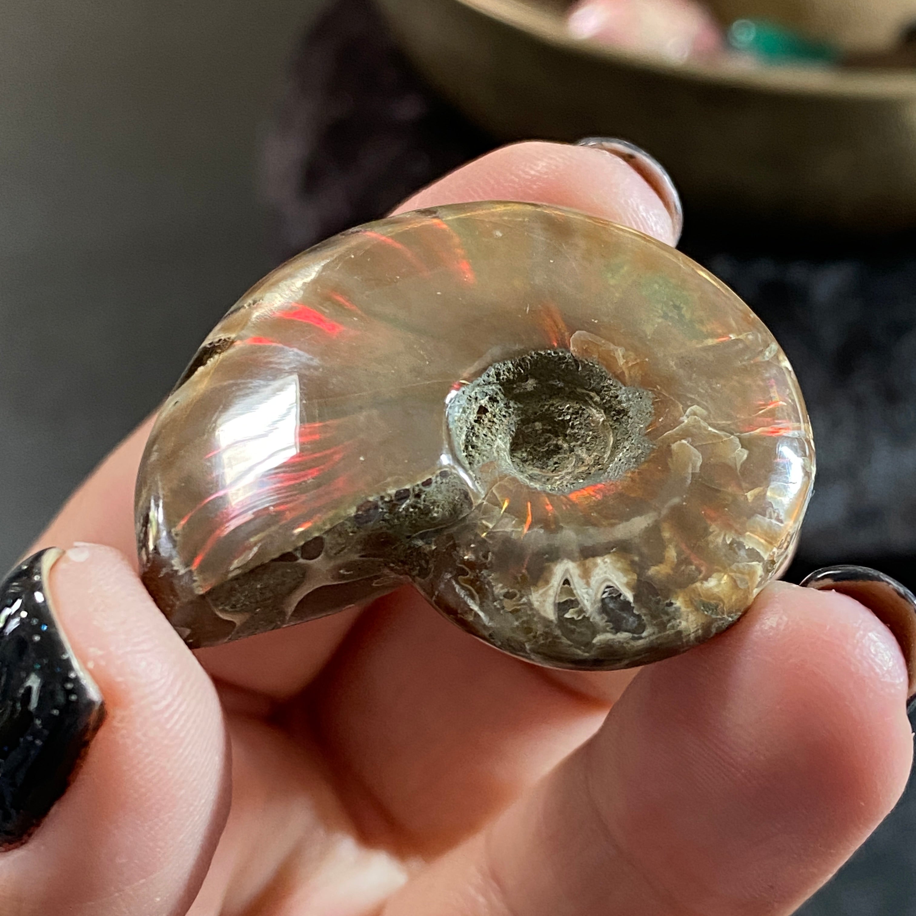 Fire Red Opalised Full Ammonite