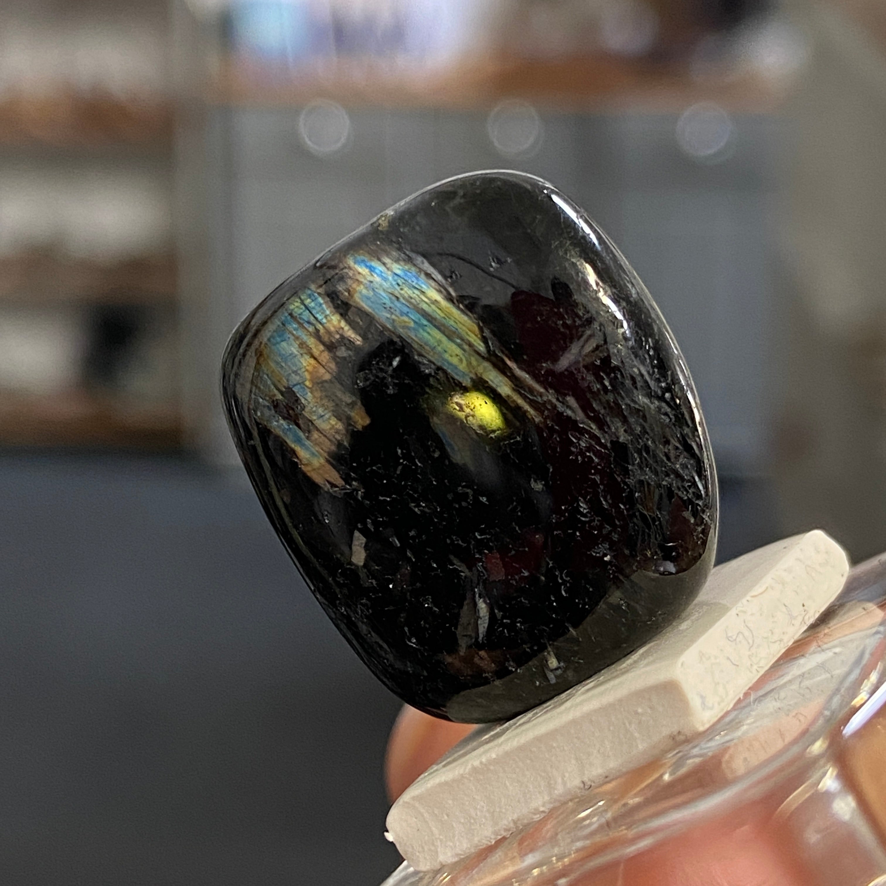 The Best Nuummite from Greenland - Tumbled Stone - AAA