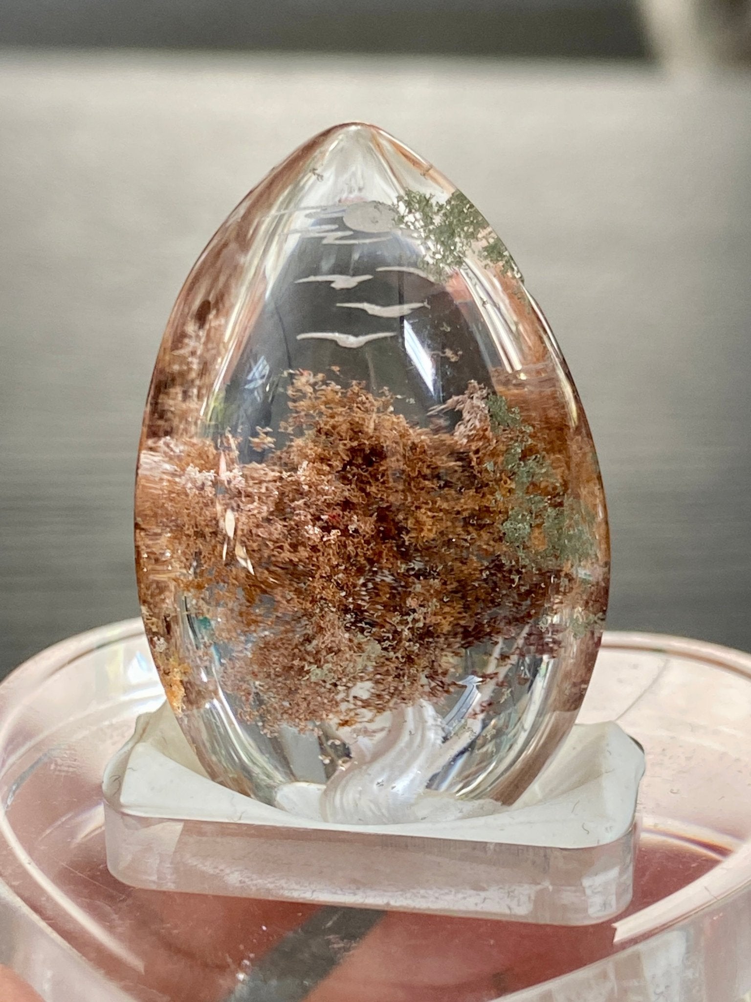 Clear Quartz with sacred Tree of Life - Diamond Tip Etching