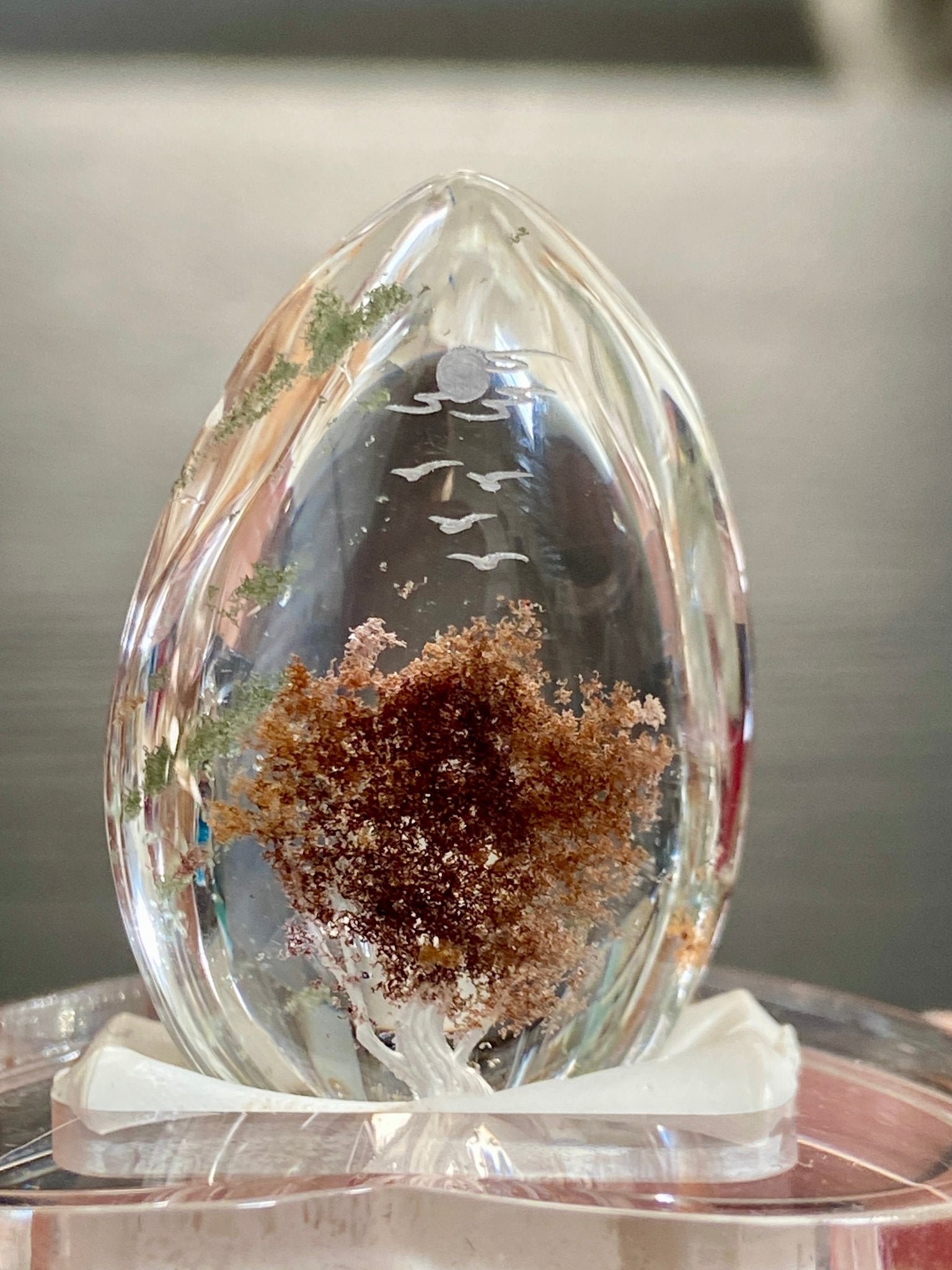 Clear Quartz with sacred Tree of Life - Diamond Tip Etching