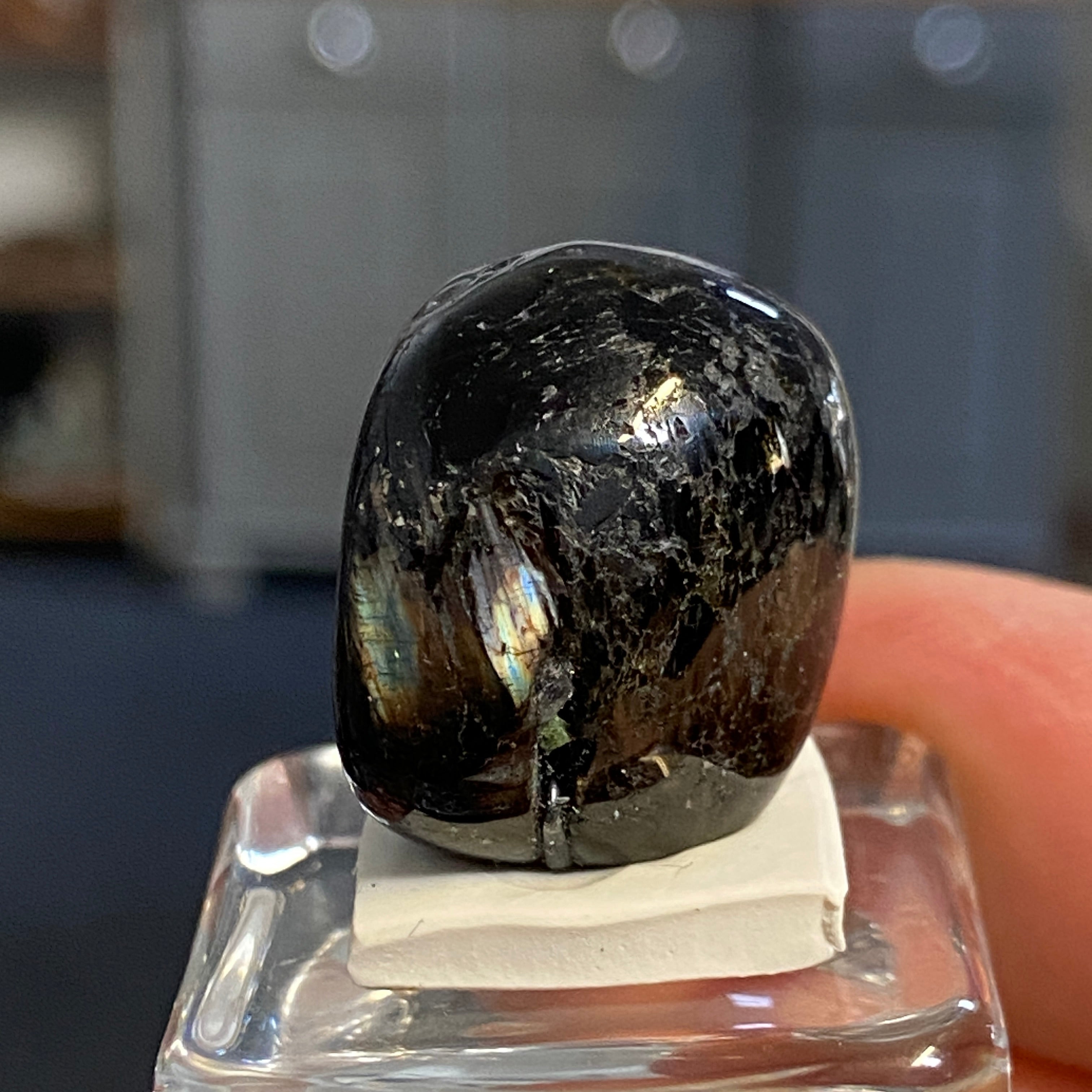 The Best Nuummite from Greenland - Tumbled Stone - AAA