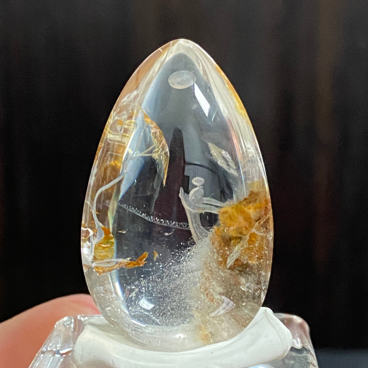 Gazing Upon the Golden Tree — AAA Diamond-Etched Clear Landscape Quartz