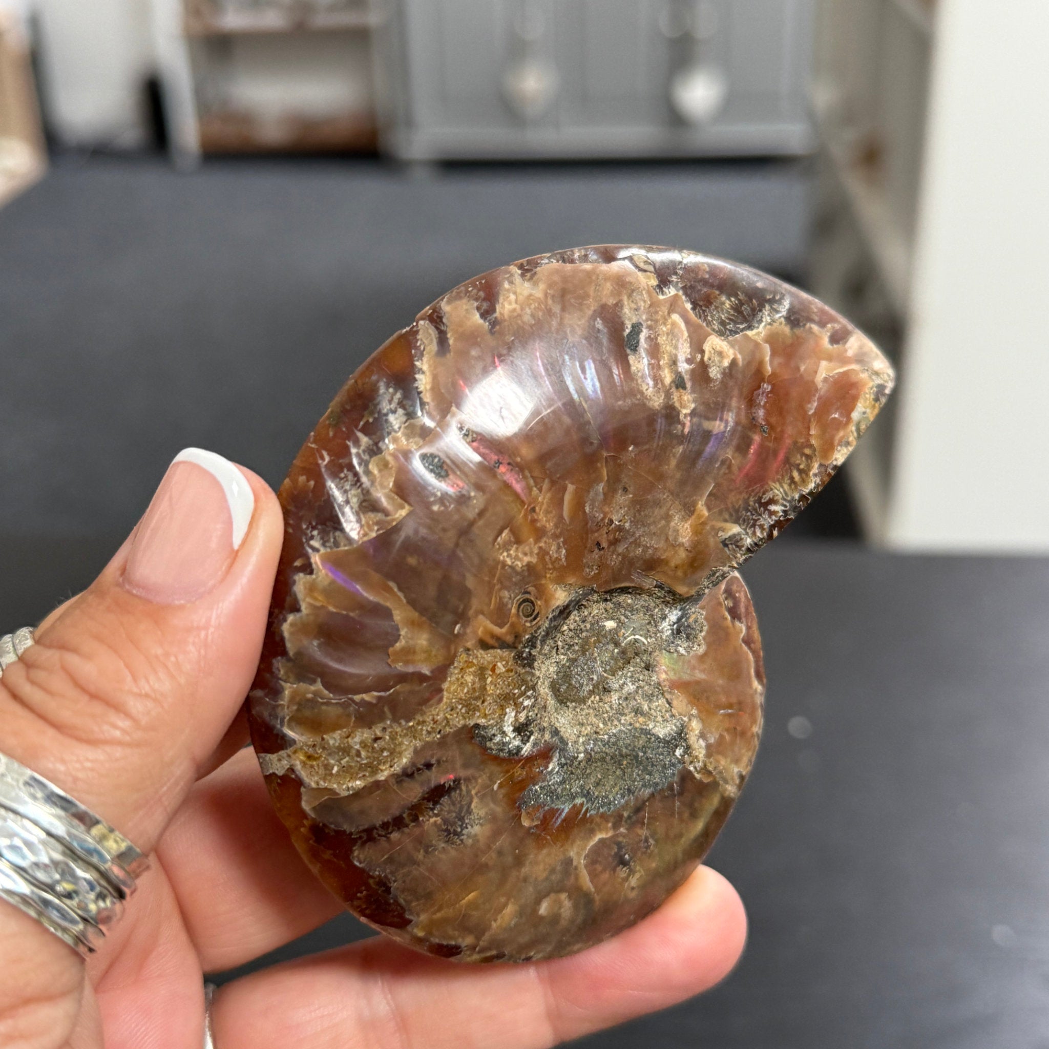 Split Golden Brown & Blonde Ammonite - Madagascar