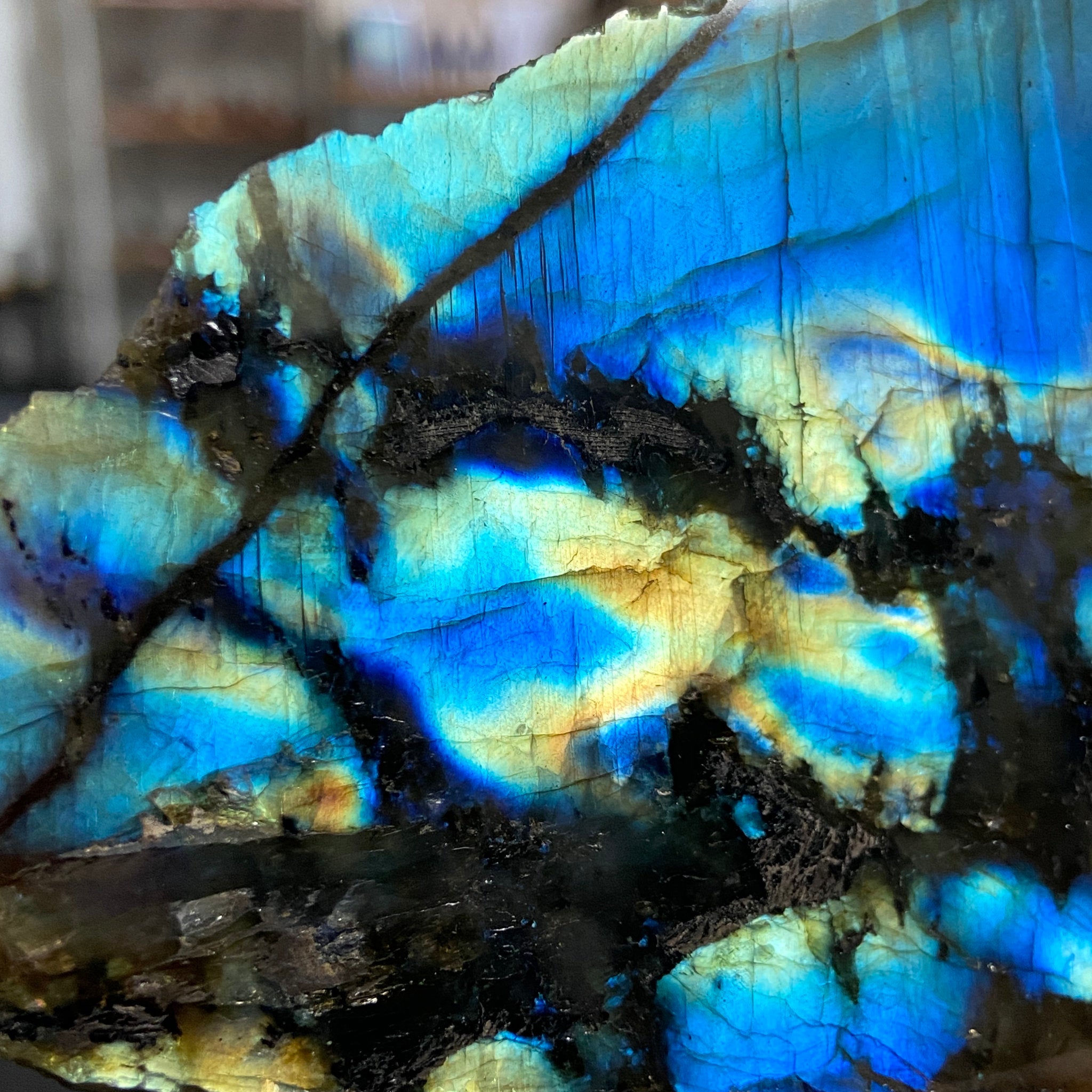 Madagascan 'Papillon' Labradorite – New Beginnings & Intuition