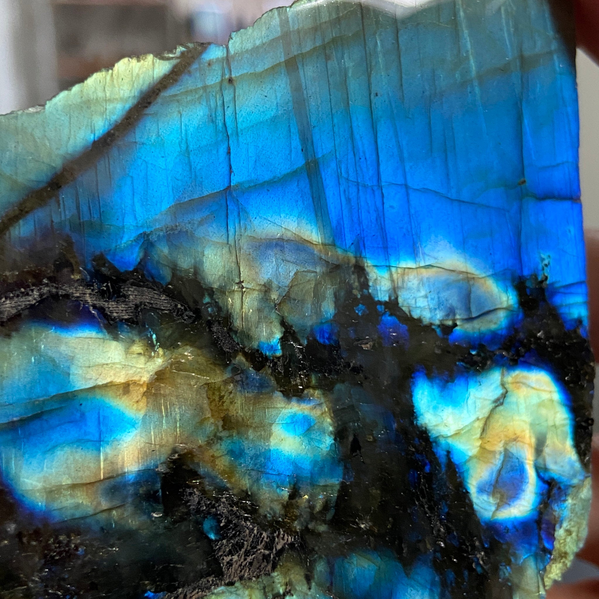Madagascan 'Papillon' Labradorite – New Beginnings & Intuition