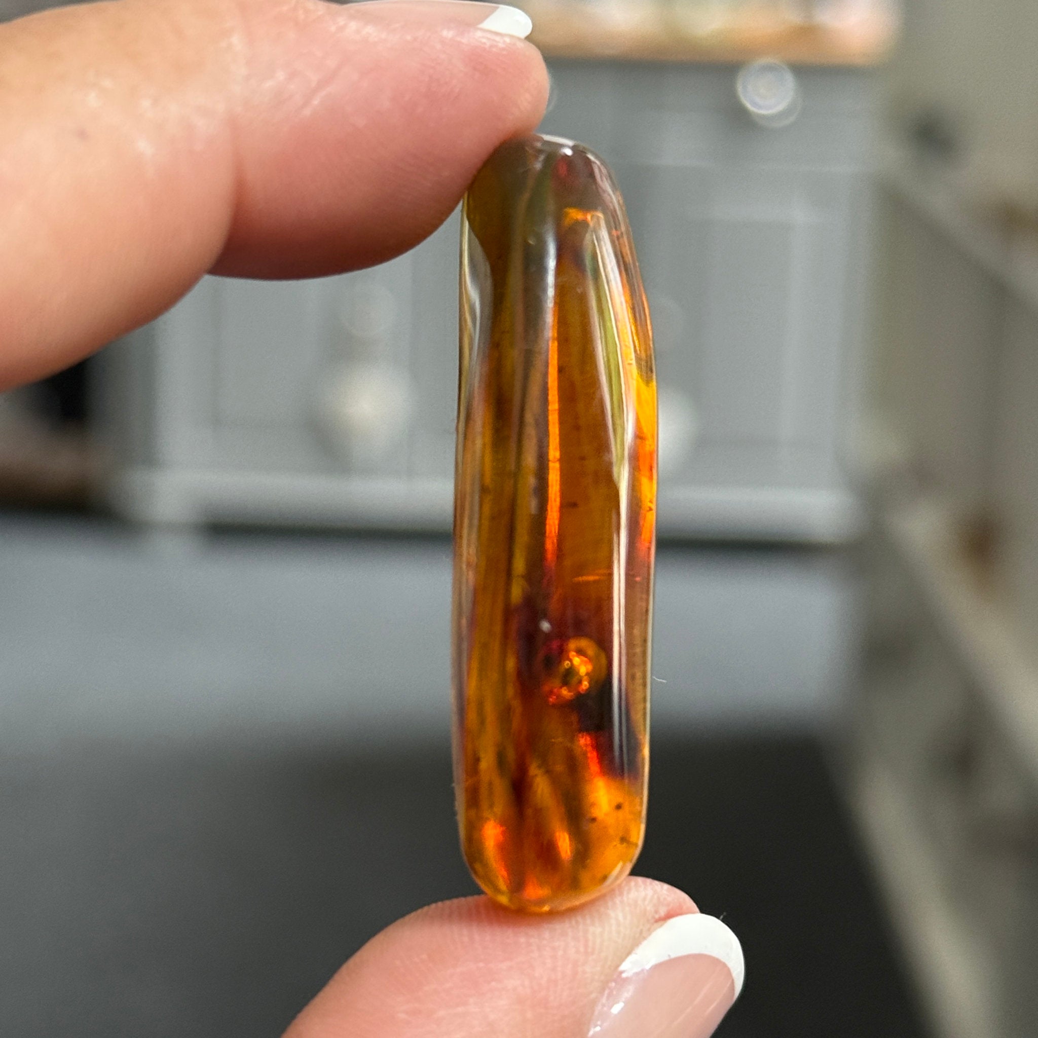 🧡 Colombian Amber with insects and plant life