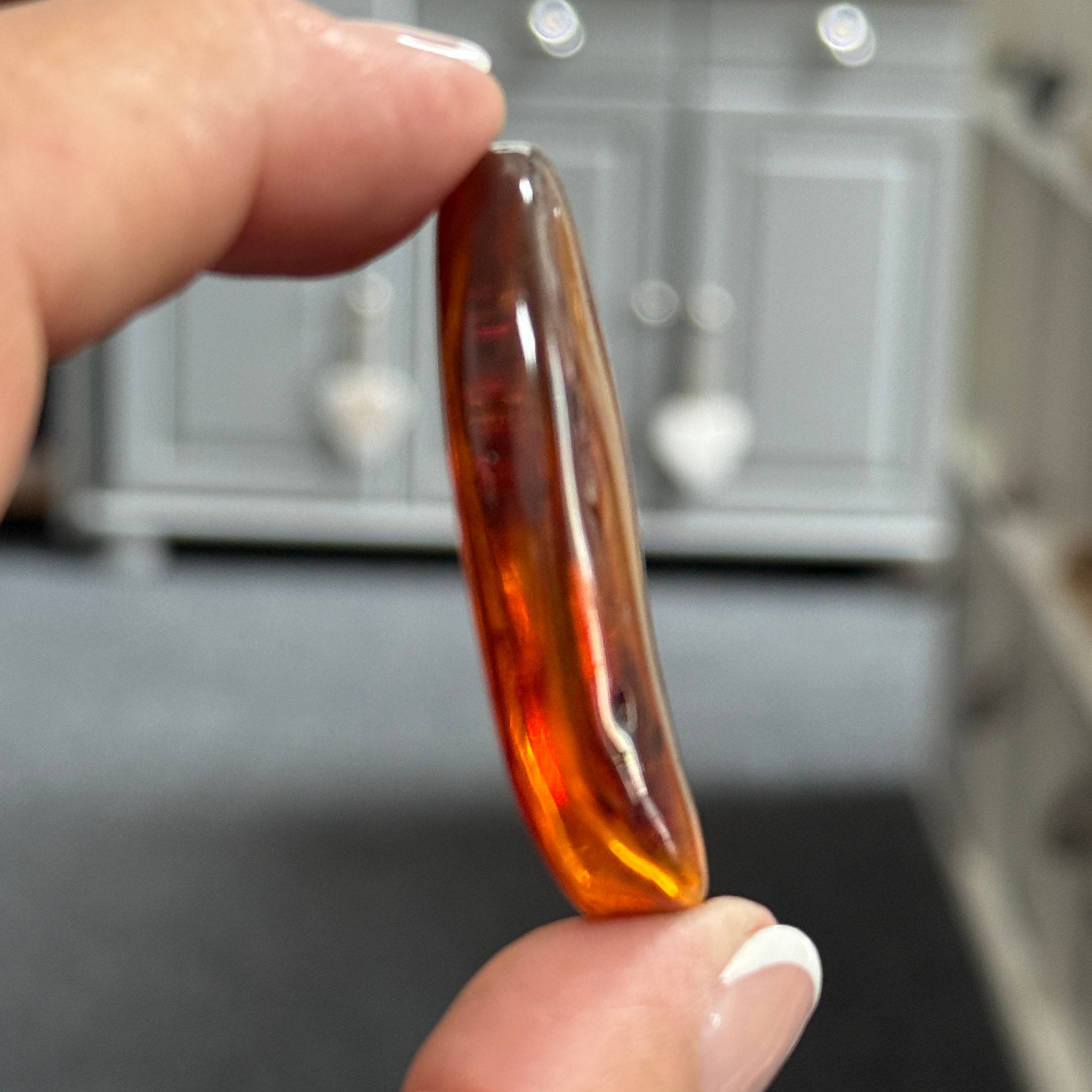 🧡 Colombian Amber with insects and plant life