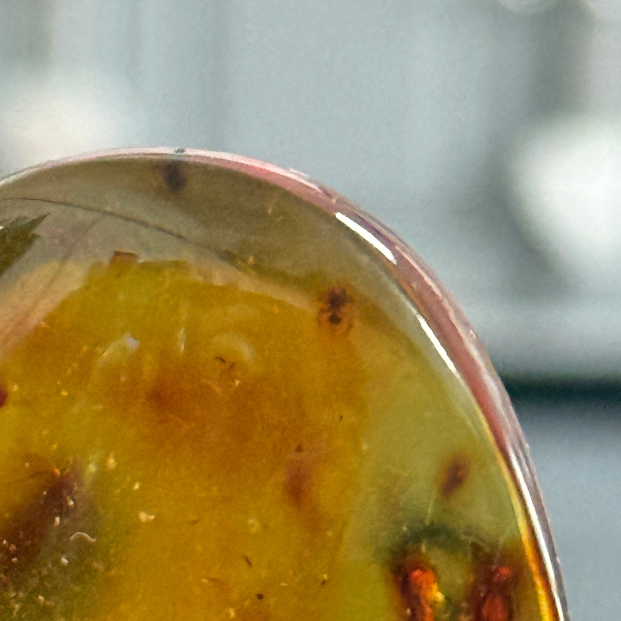🧡 Colombian Amber with insects and plant life