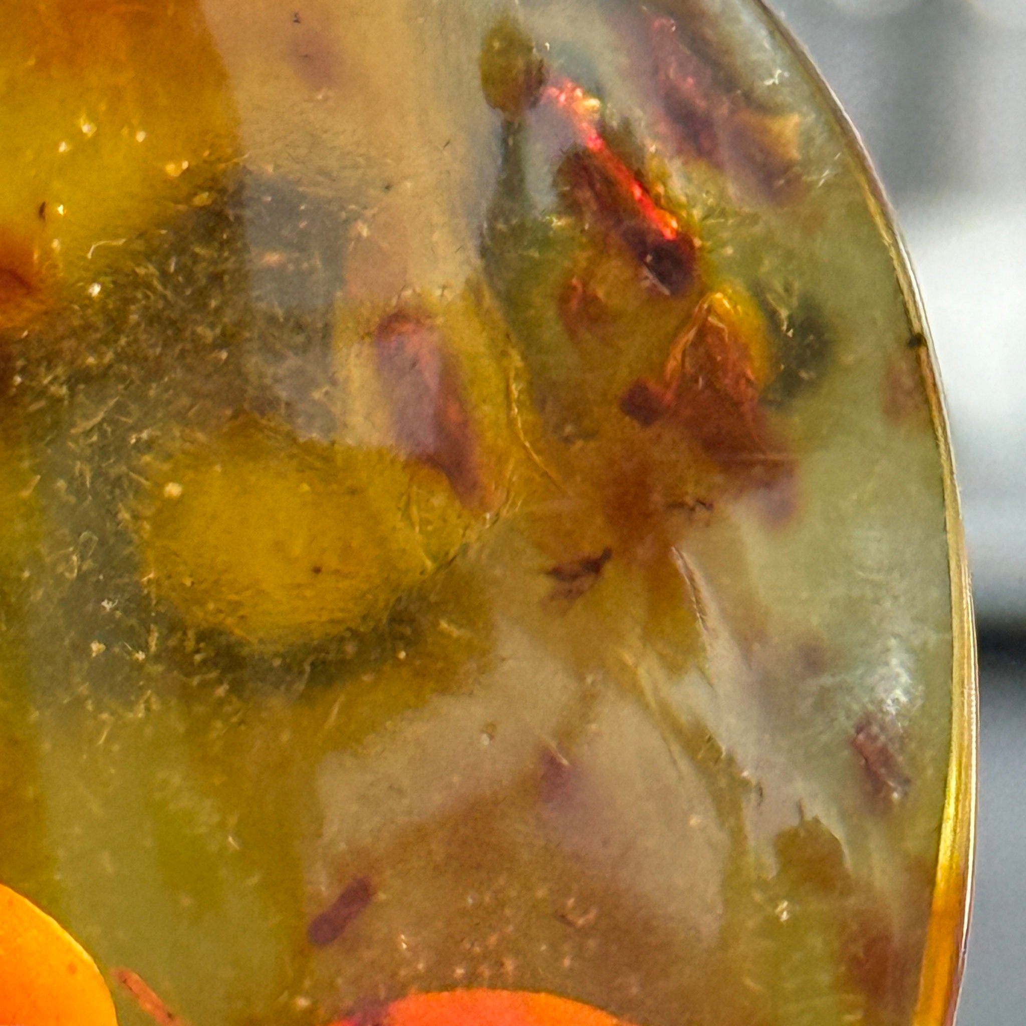 🧡 Colombian Amber with insects and plant life