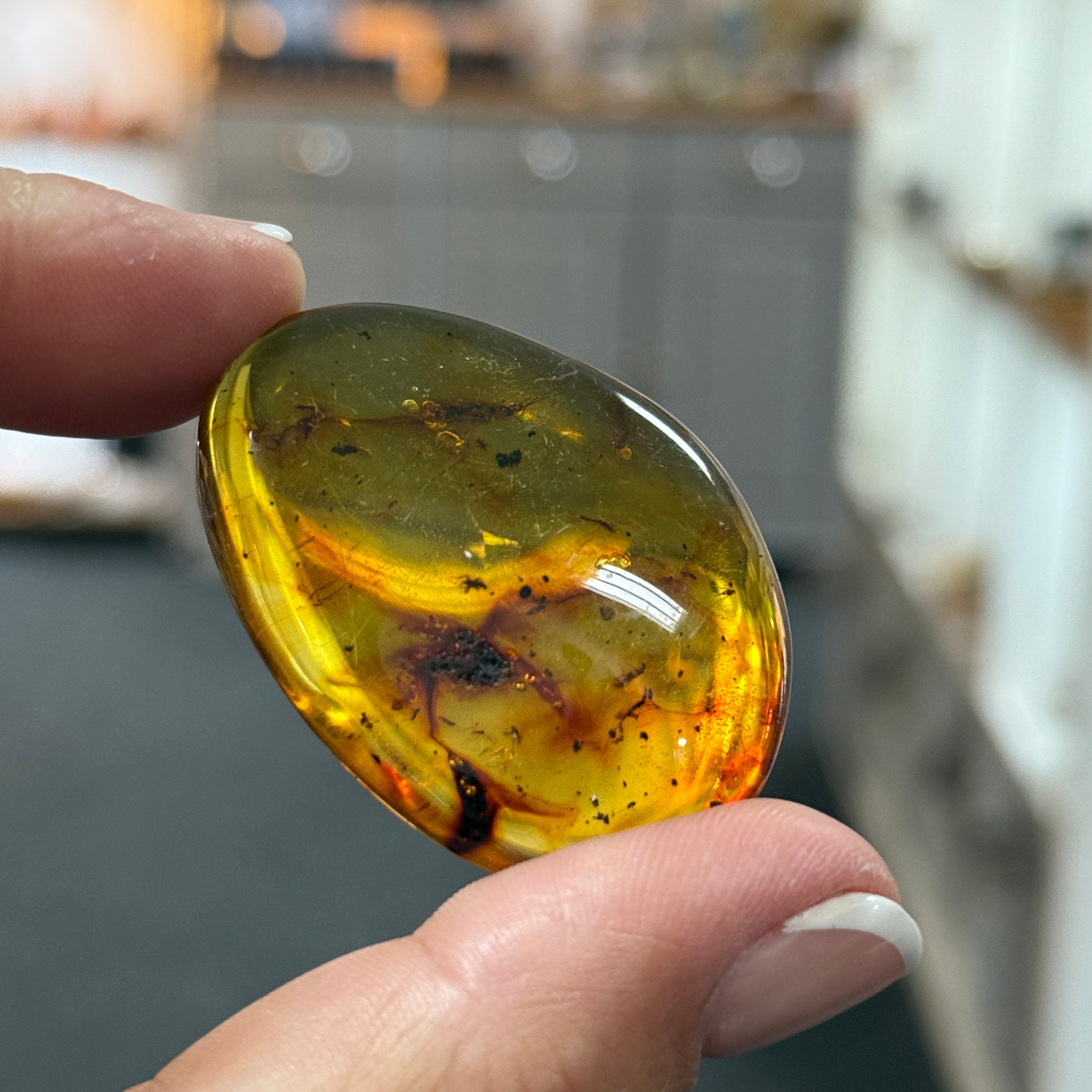 🧡 Colombian Amber with insects and plant life