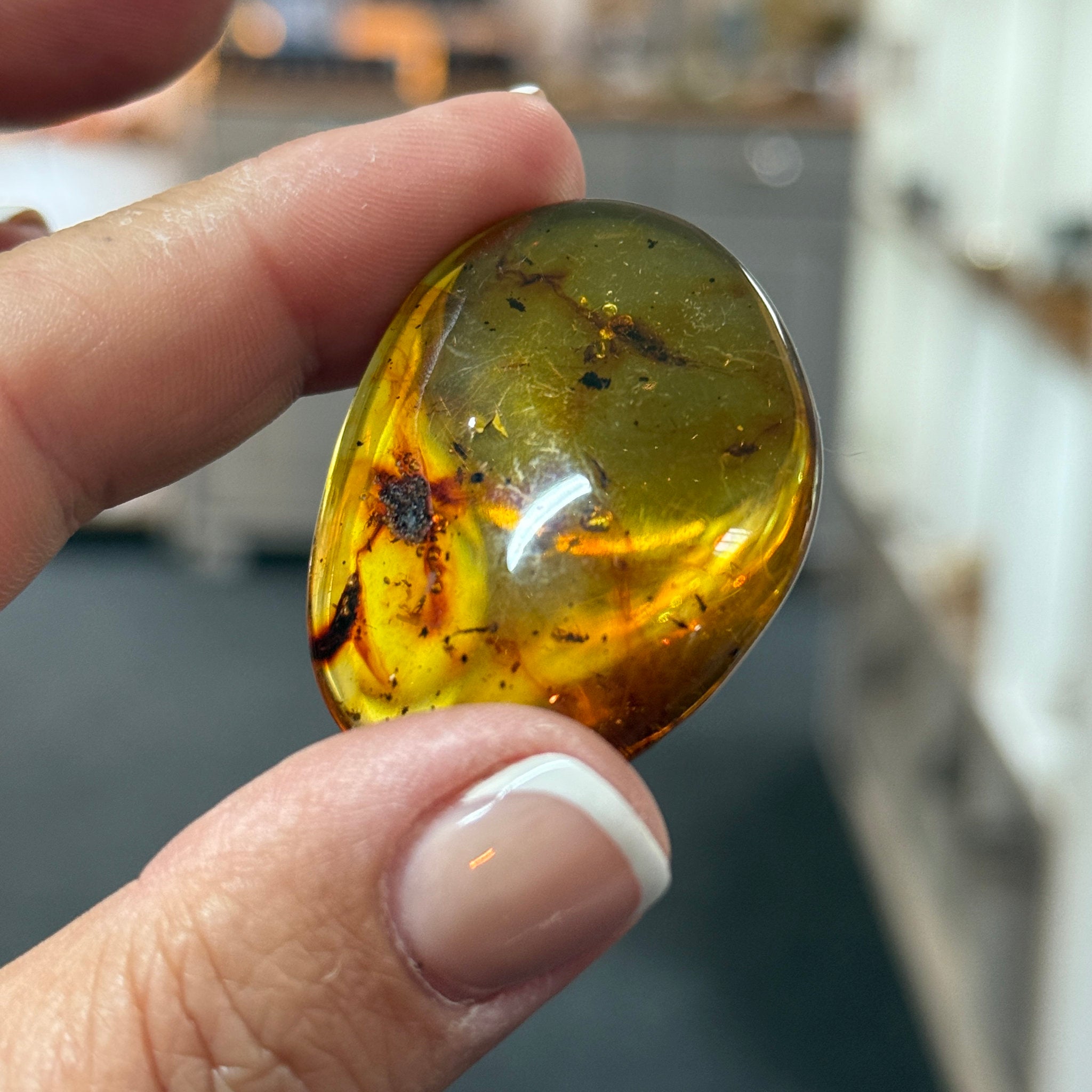 🧡 Colombian Amber with insects and plant life