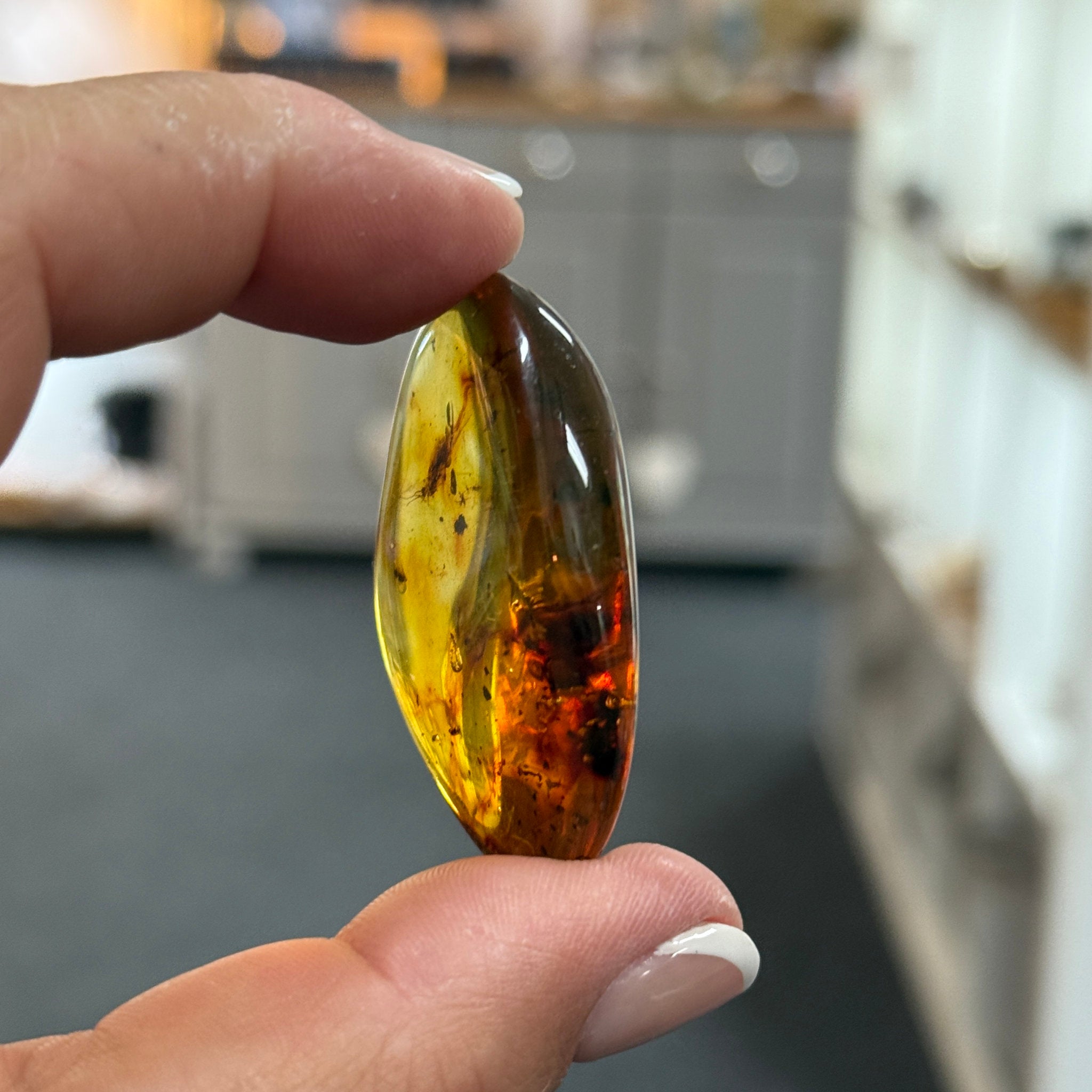 🧡 Colombian Amber with insects and plant life