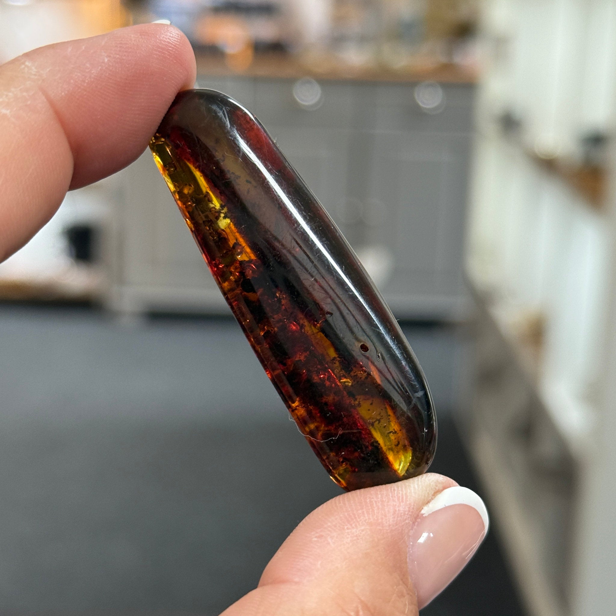 🧡 Colombian Amber with plant life