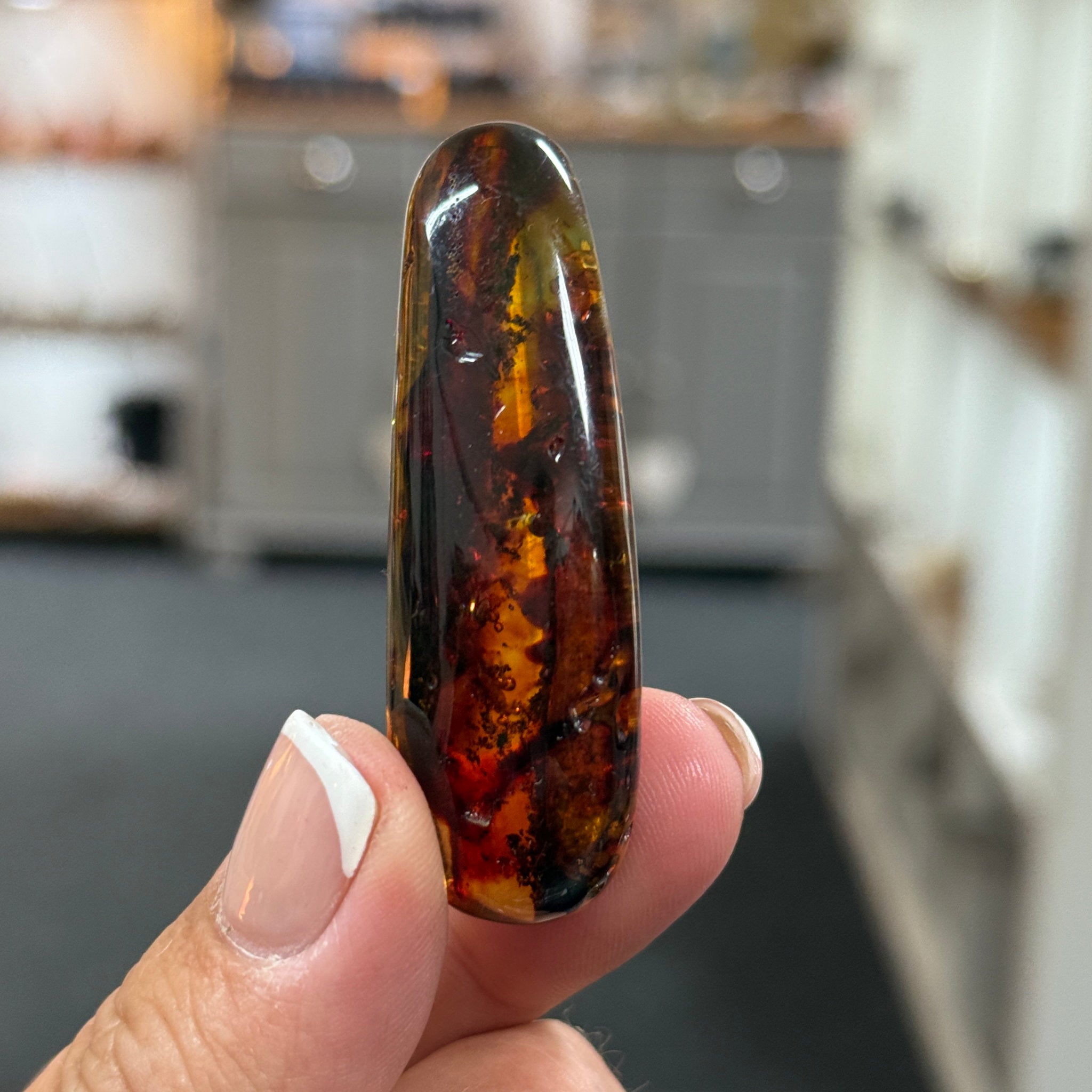 🧡 Colombian Amber with plant life
