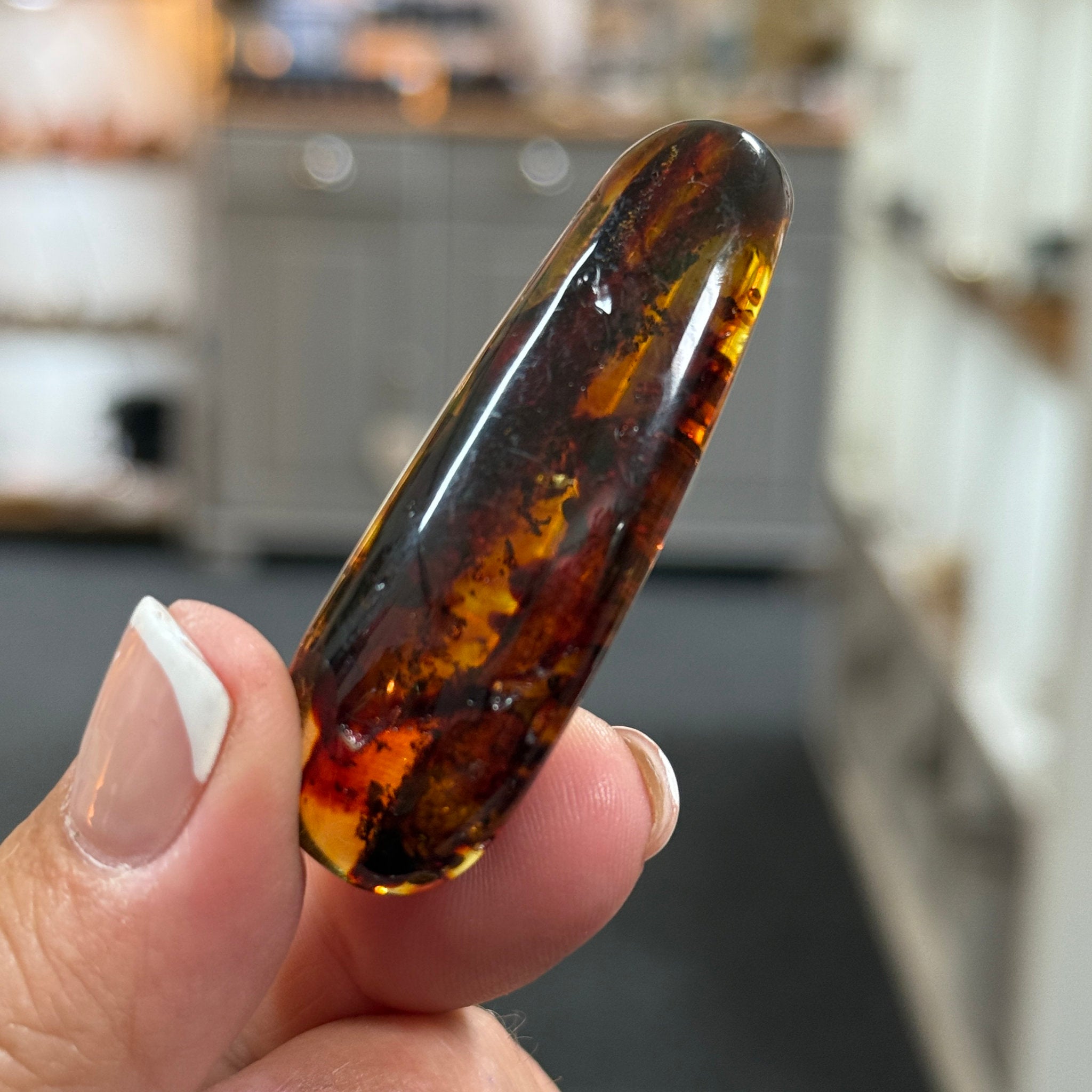 🧡 Colombian Amber with plant life