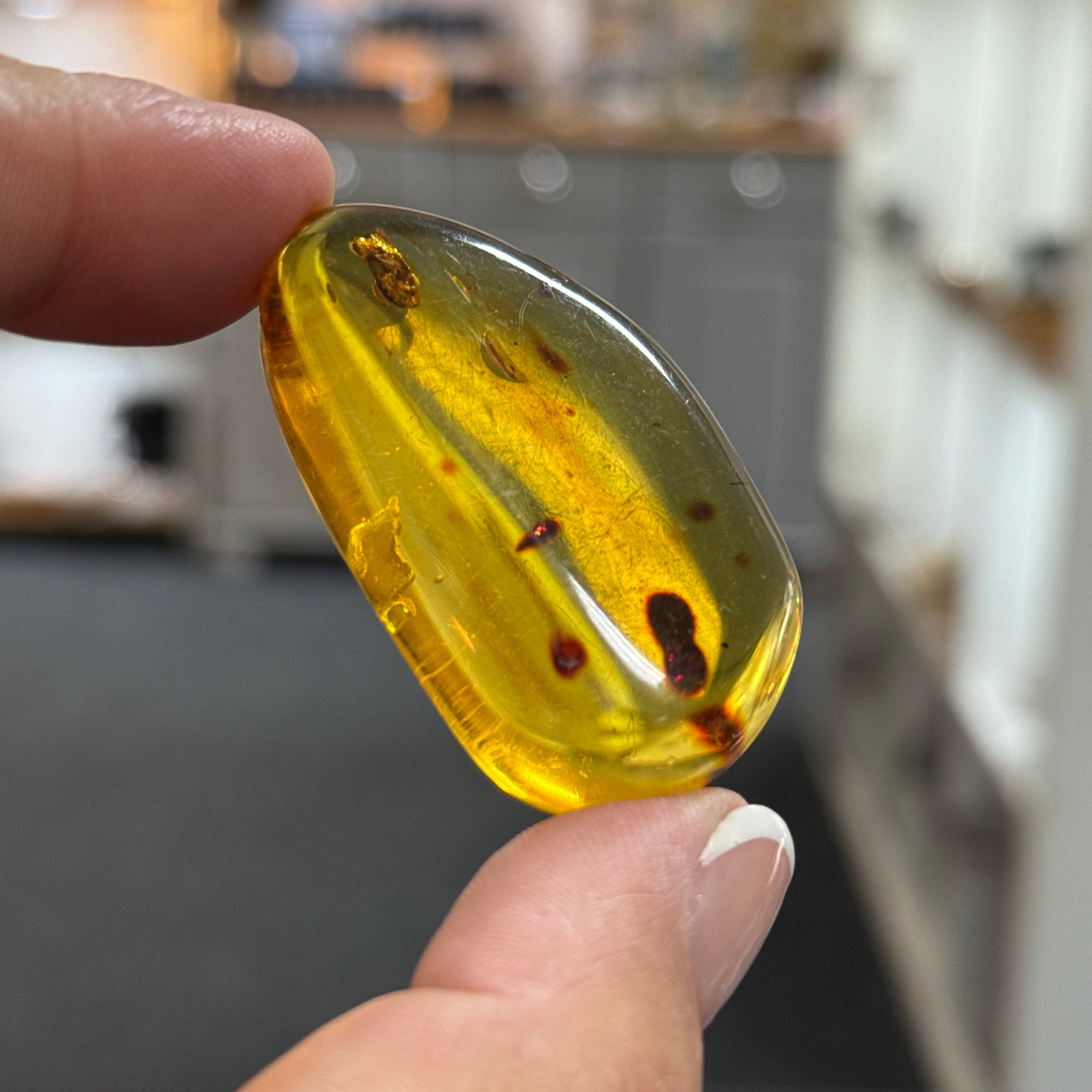 🧡 Colombian Amber with insects and plant life