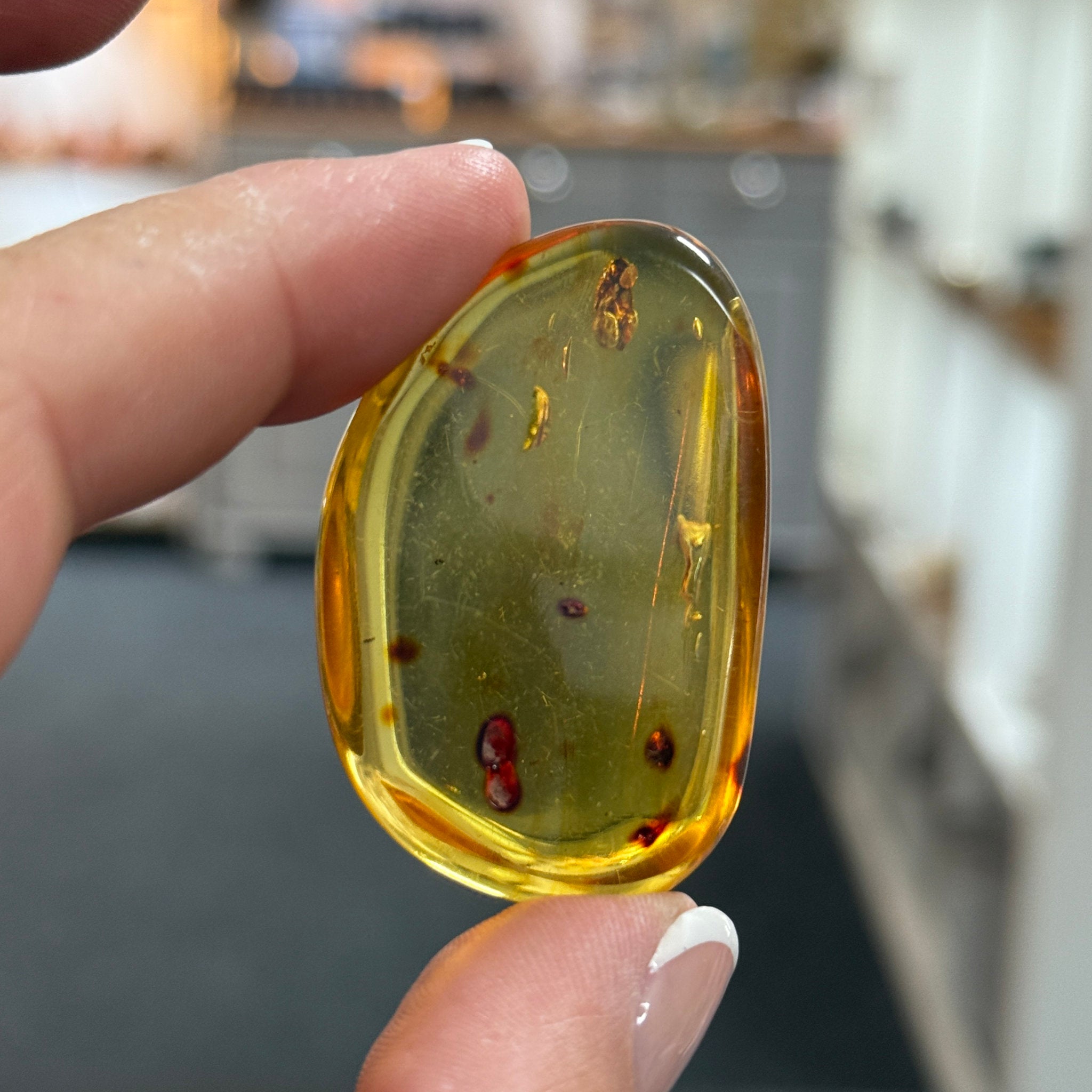 🧡 Colombian Amber with insects and plant life