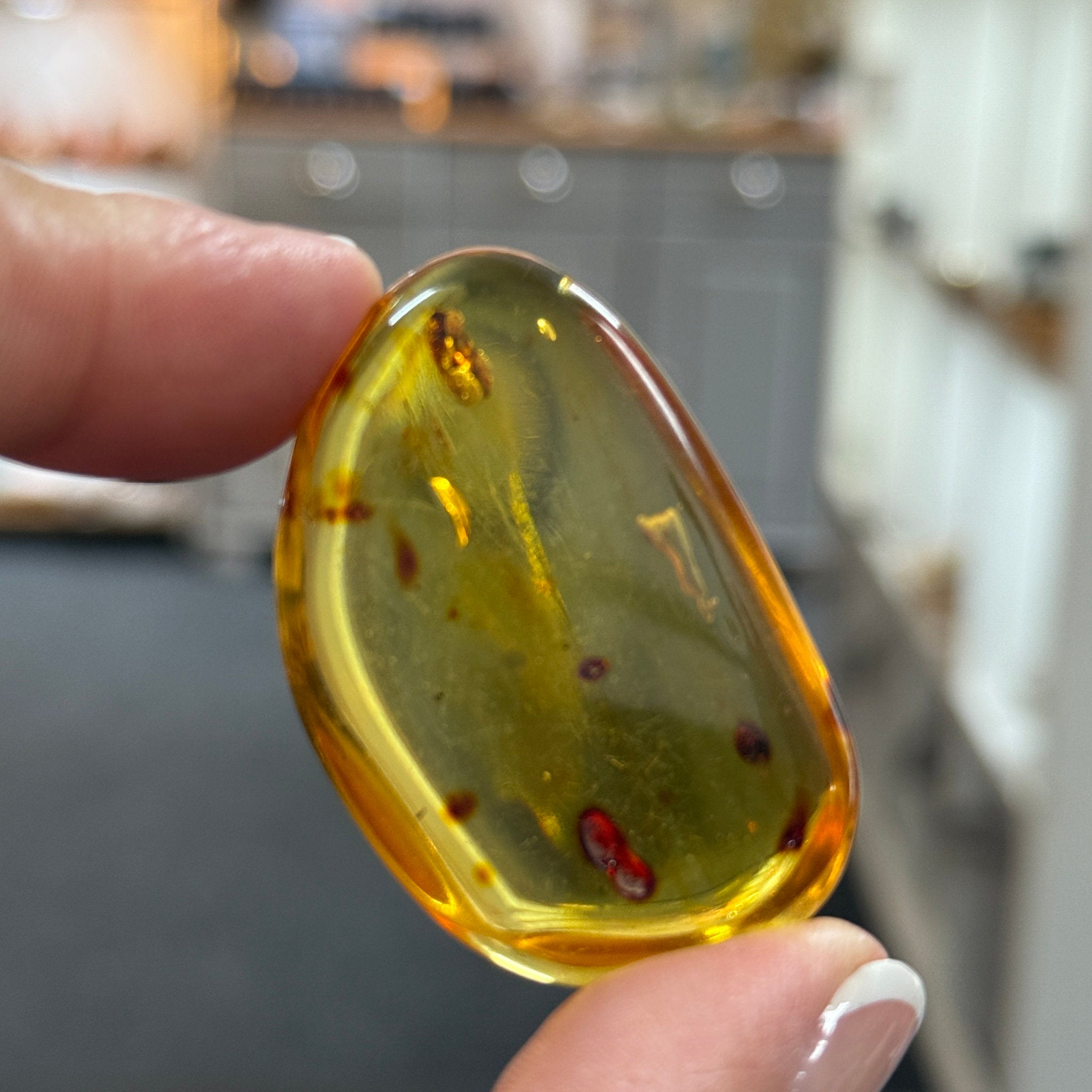 🧡 Colombian Amber with insects and plant life