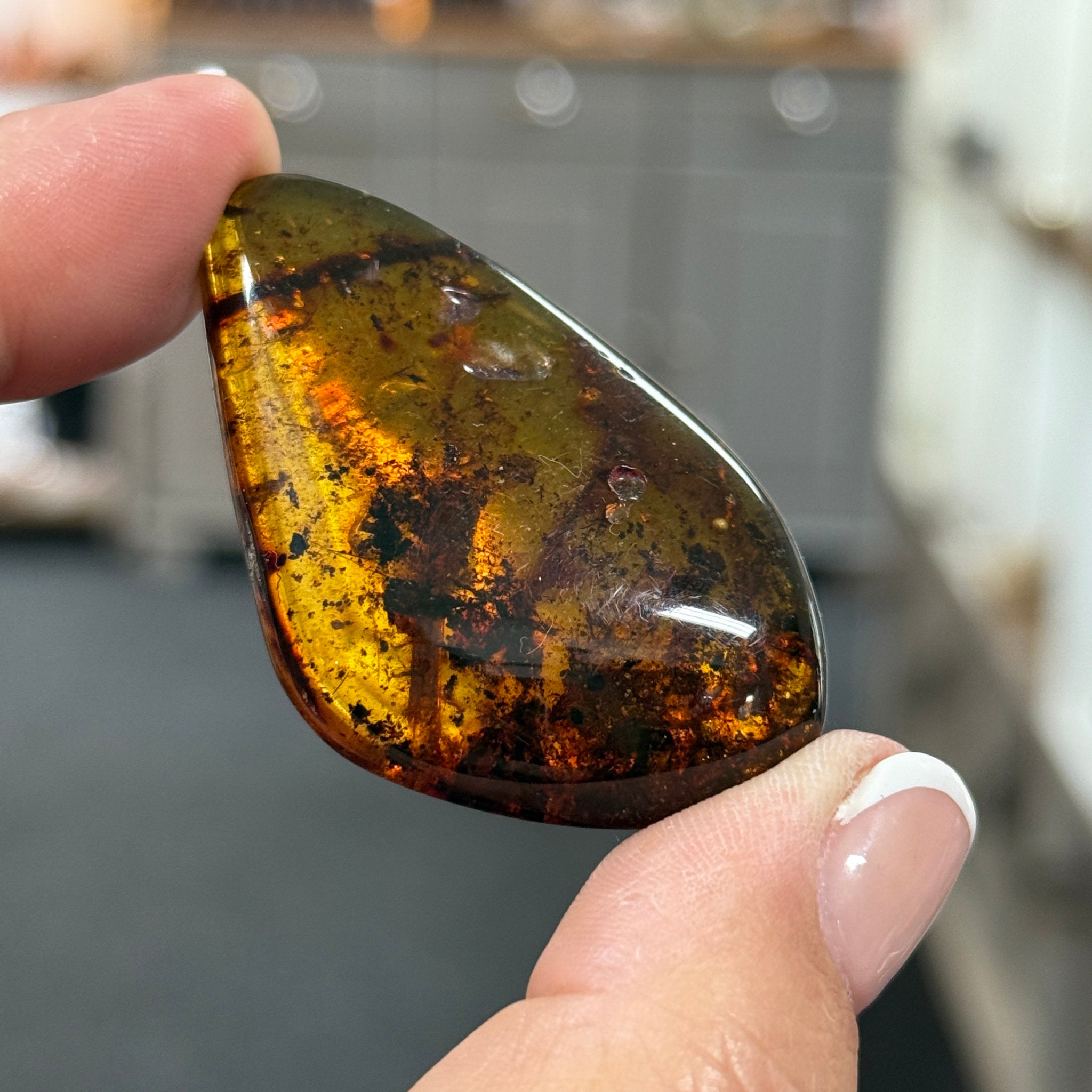 🧡 Colombian Amber with insects and plant life