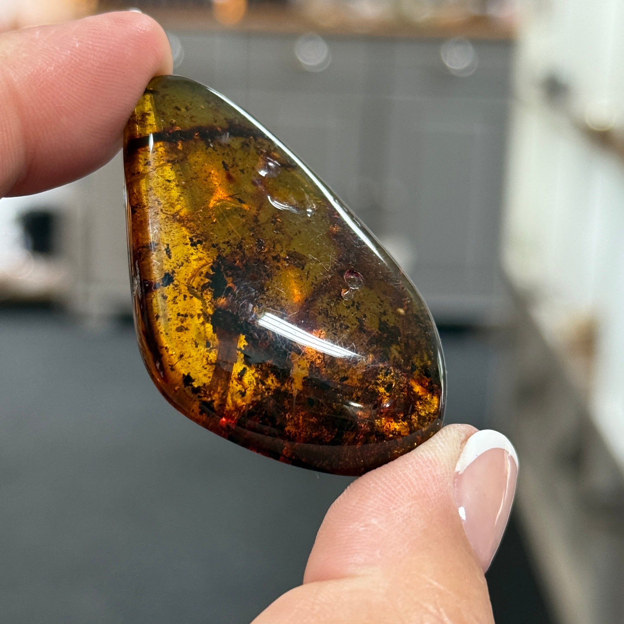 🧡 Colombian Amber with insects and plant life