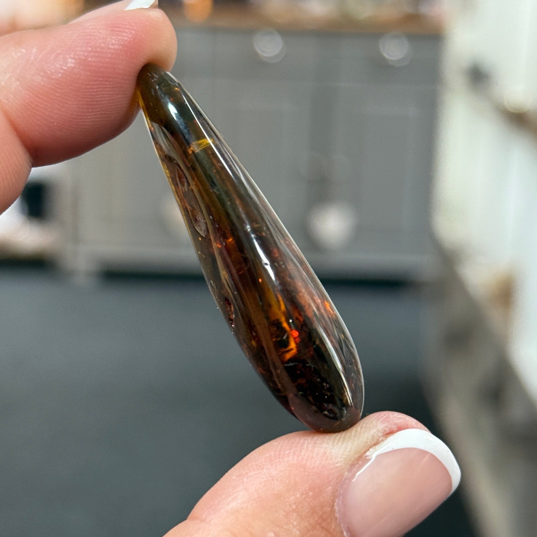 🧡 Colombian Amber with insects and plant life