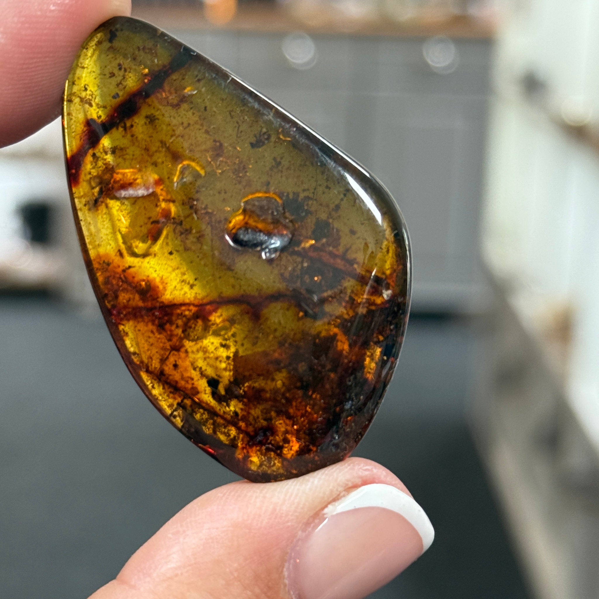 🧡 Colombian Amber with insects and plant life
