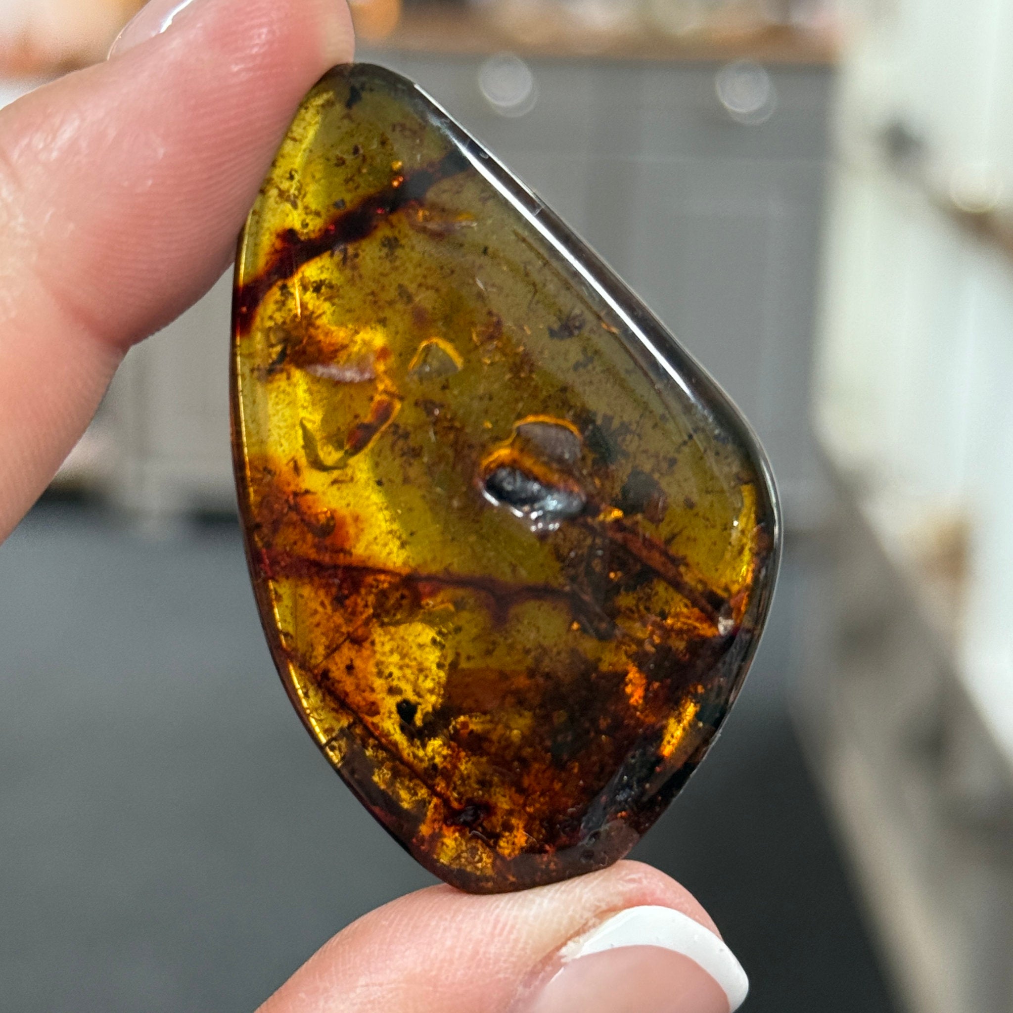 🧡 Colombian Amber with insects and plant life
