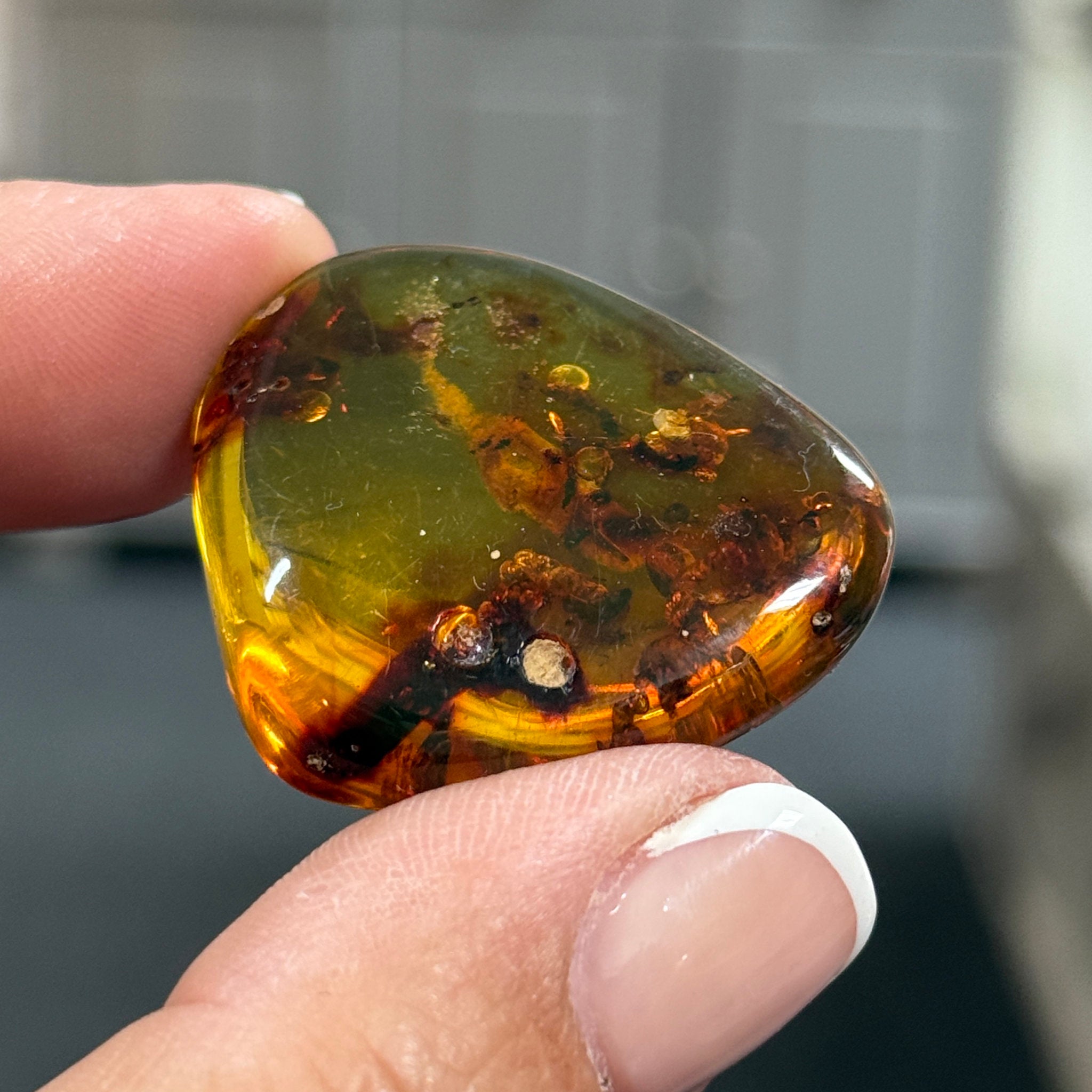 🧡 Colombian Amber with insects and plant life