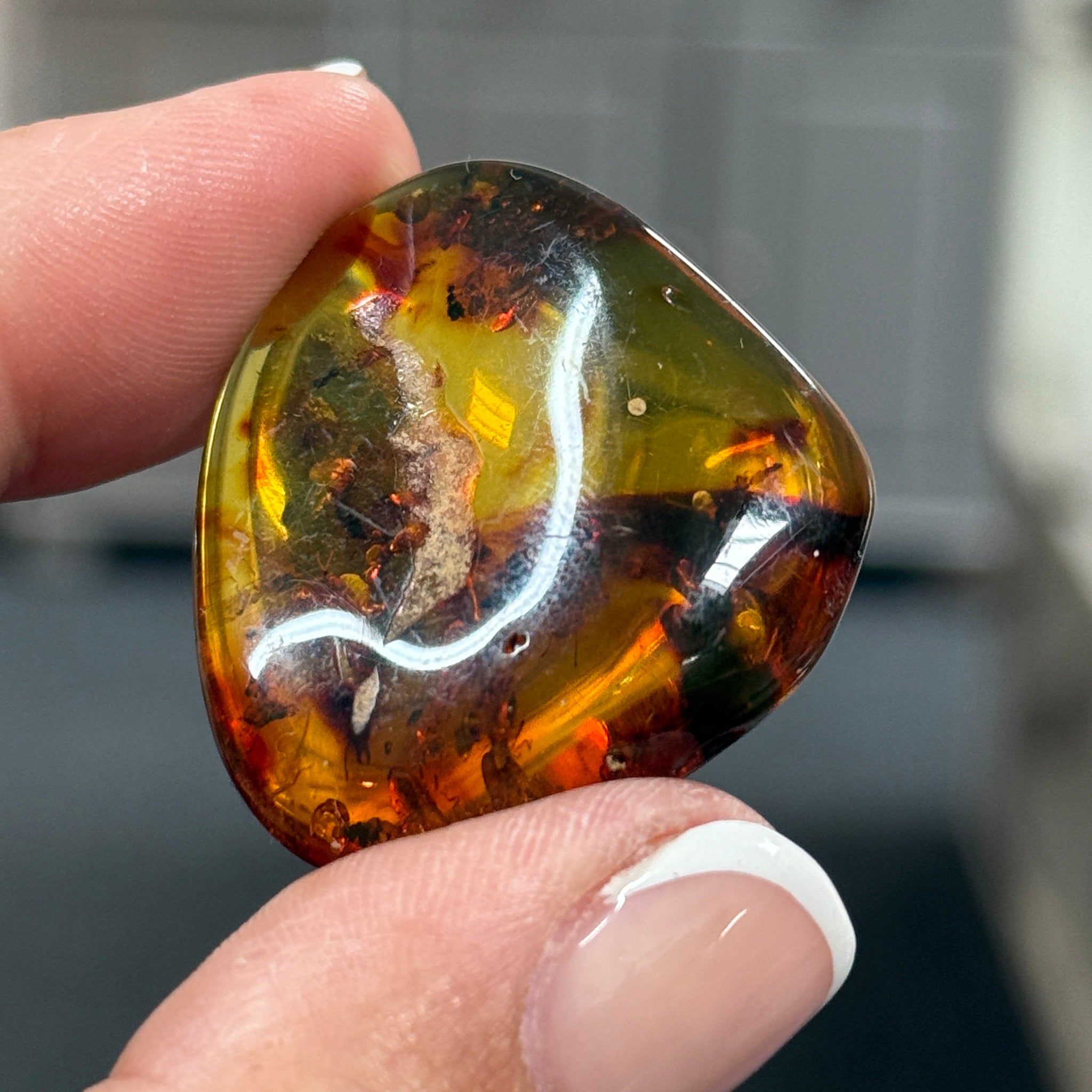 🧡 Colombian Amber with insects and plant life