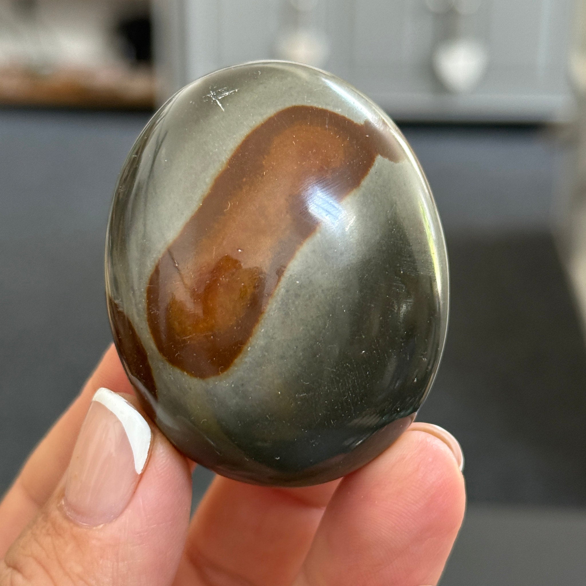 Polychrome Jasper Palmstone