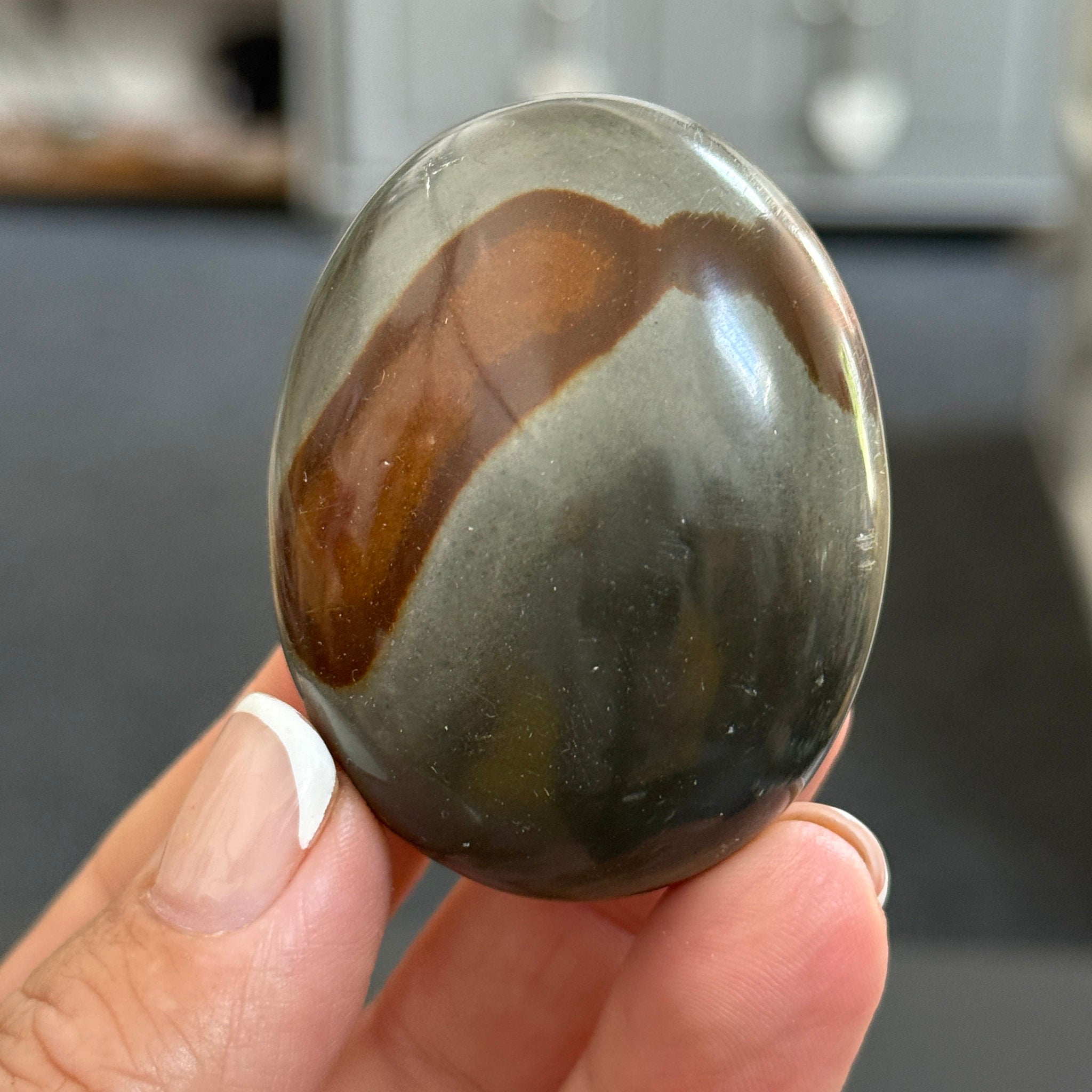 Polychrome Jasper Palmstone