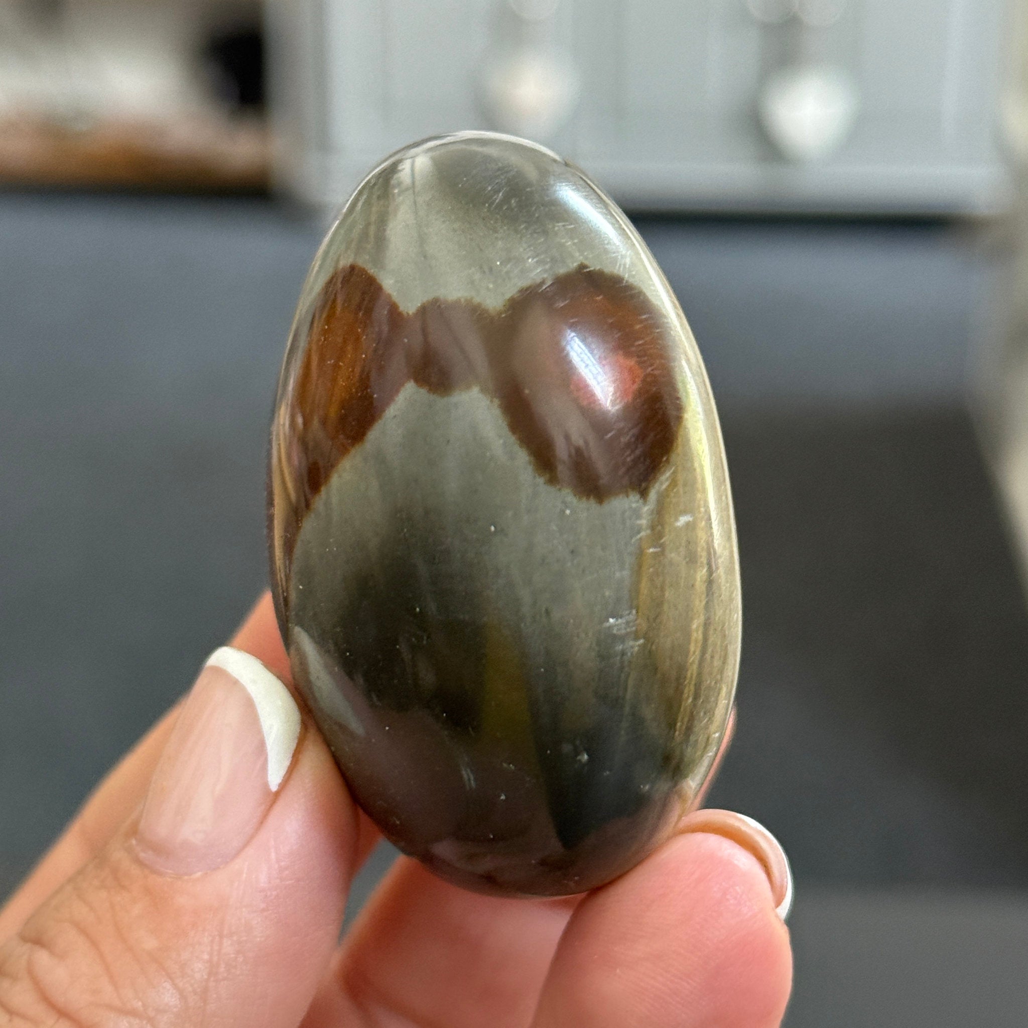 Polychrome Jasper Palmstone