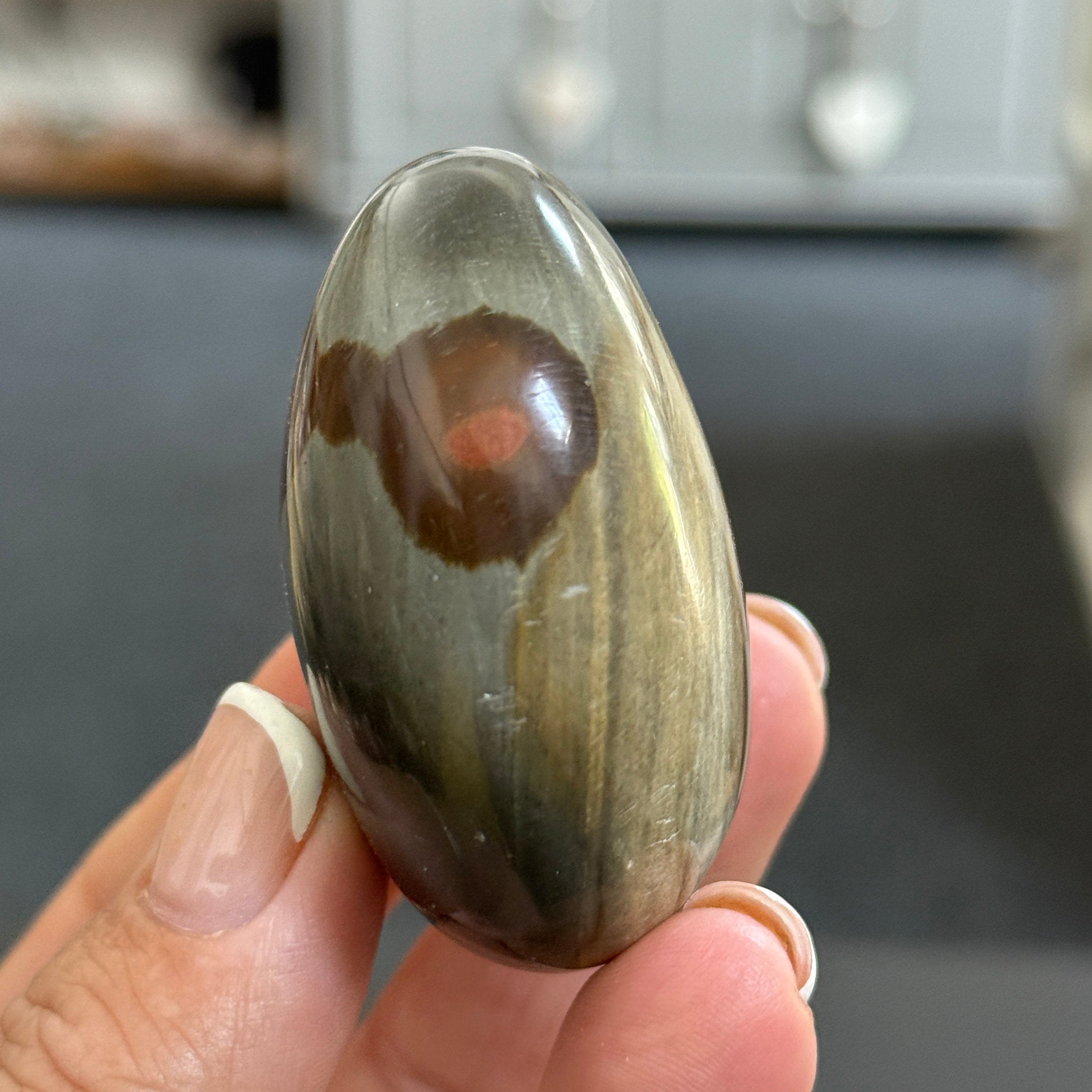 Polychrome Jasper Palmstone