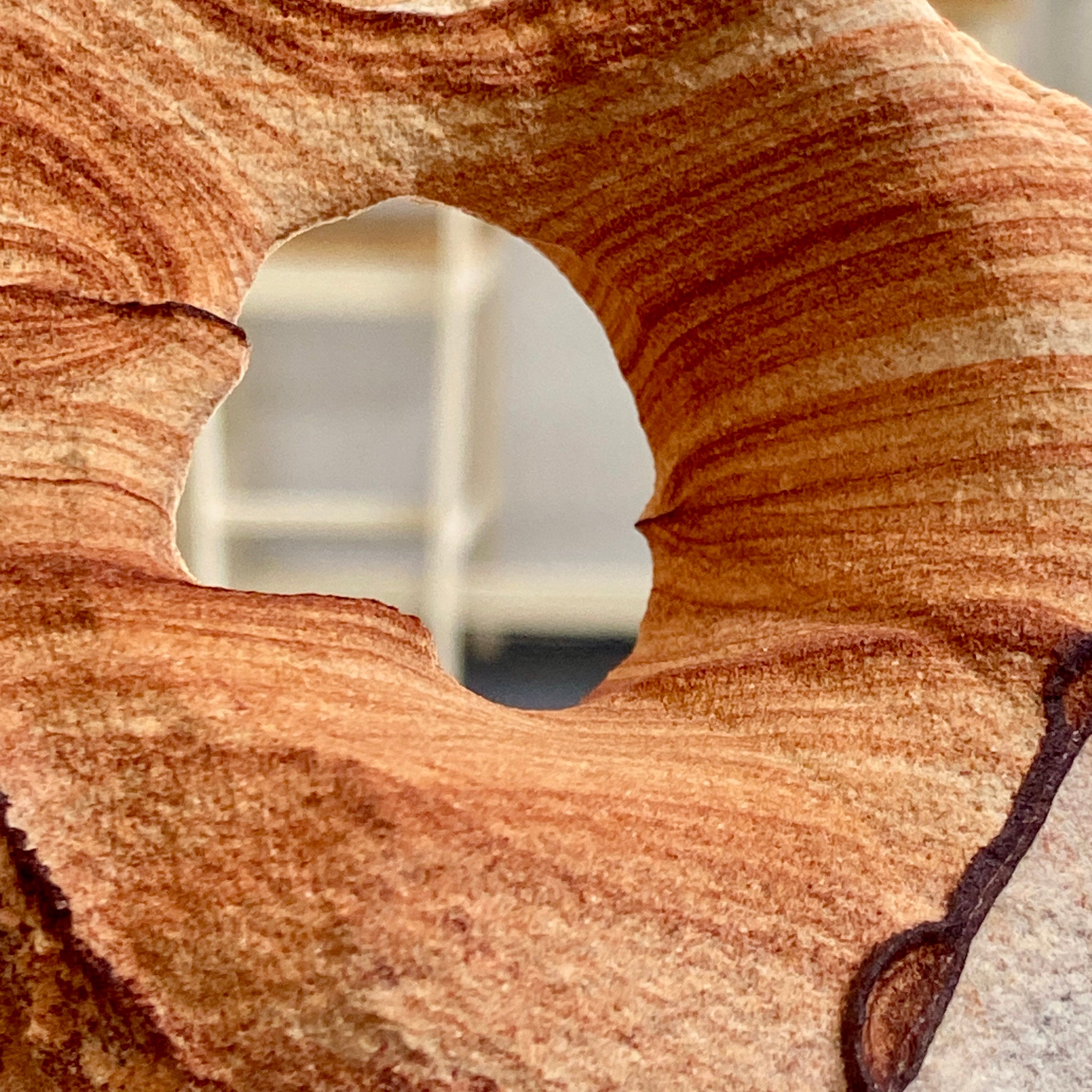 Kanab Wonderstone - Utah, USA